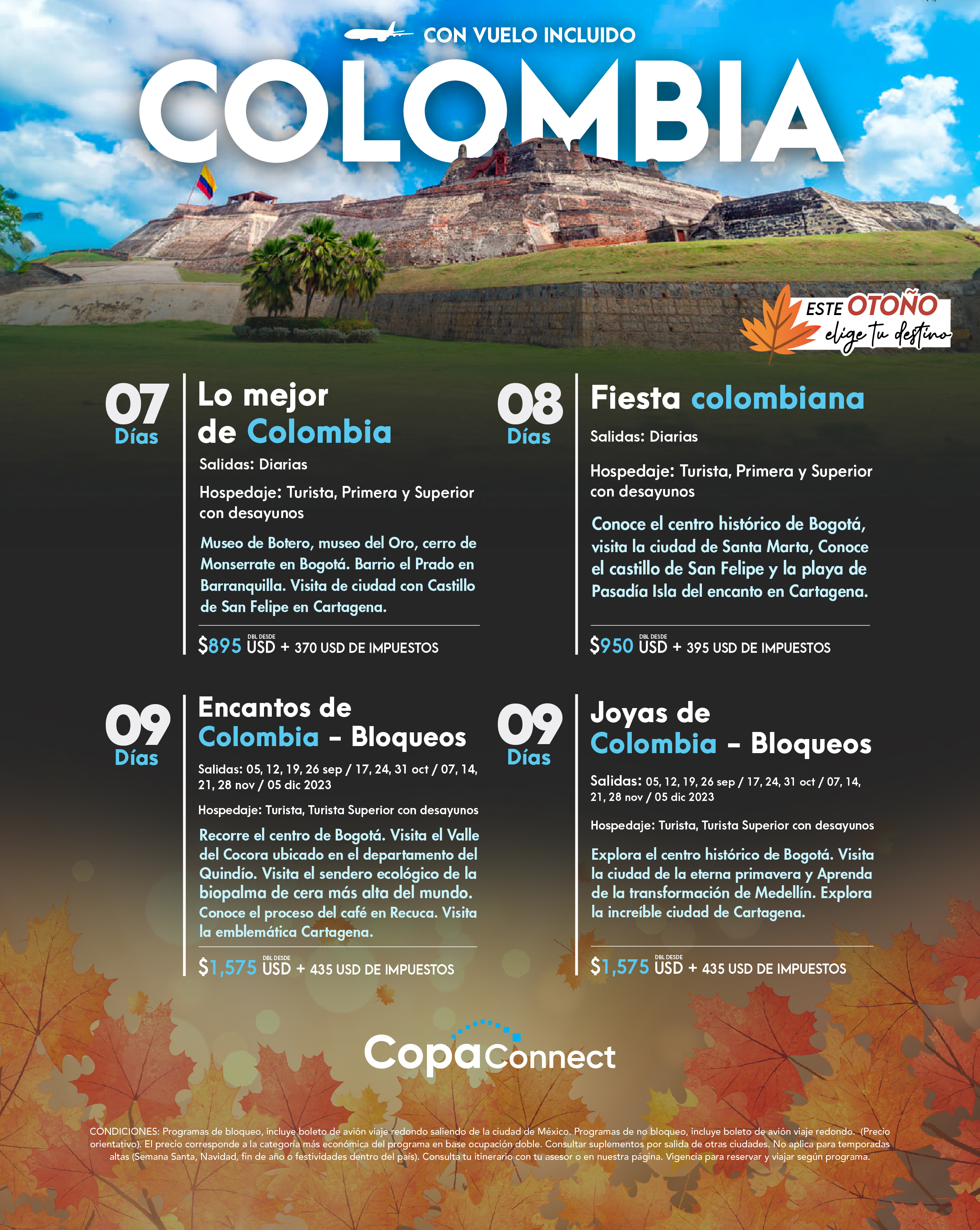 Flyer Travel Shop