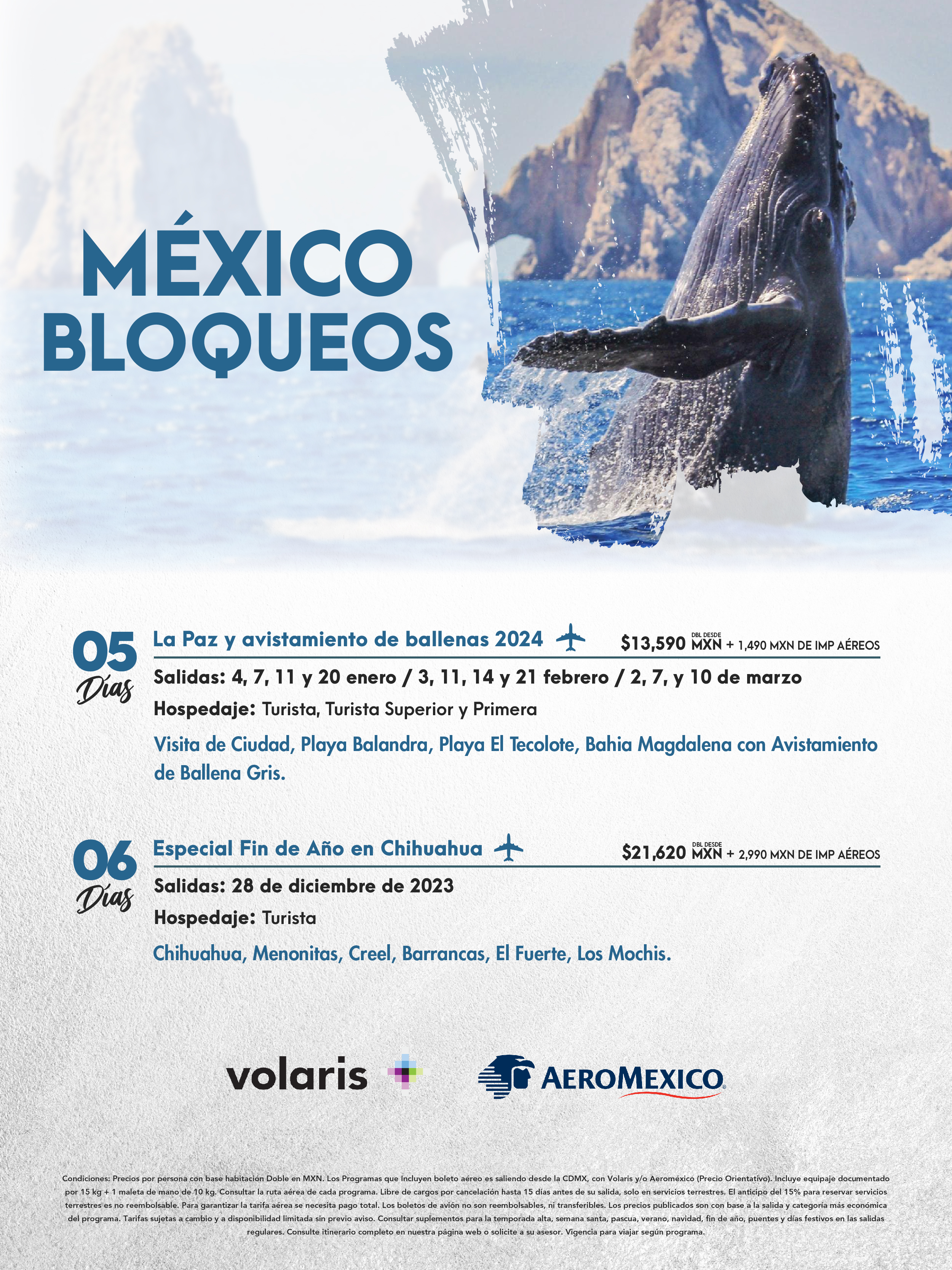 Flyer Travel Shop