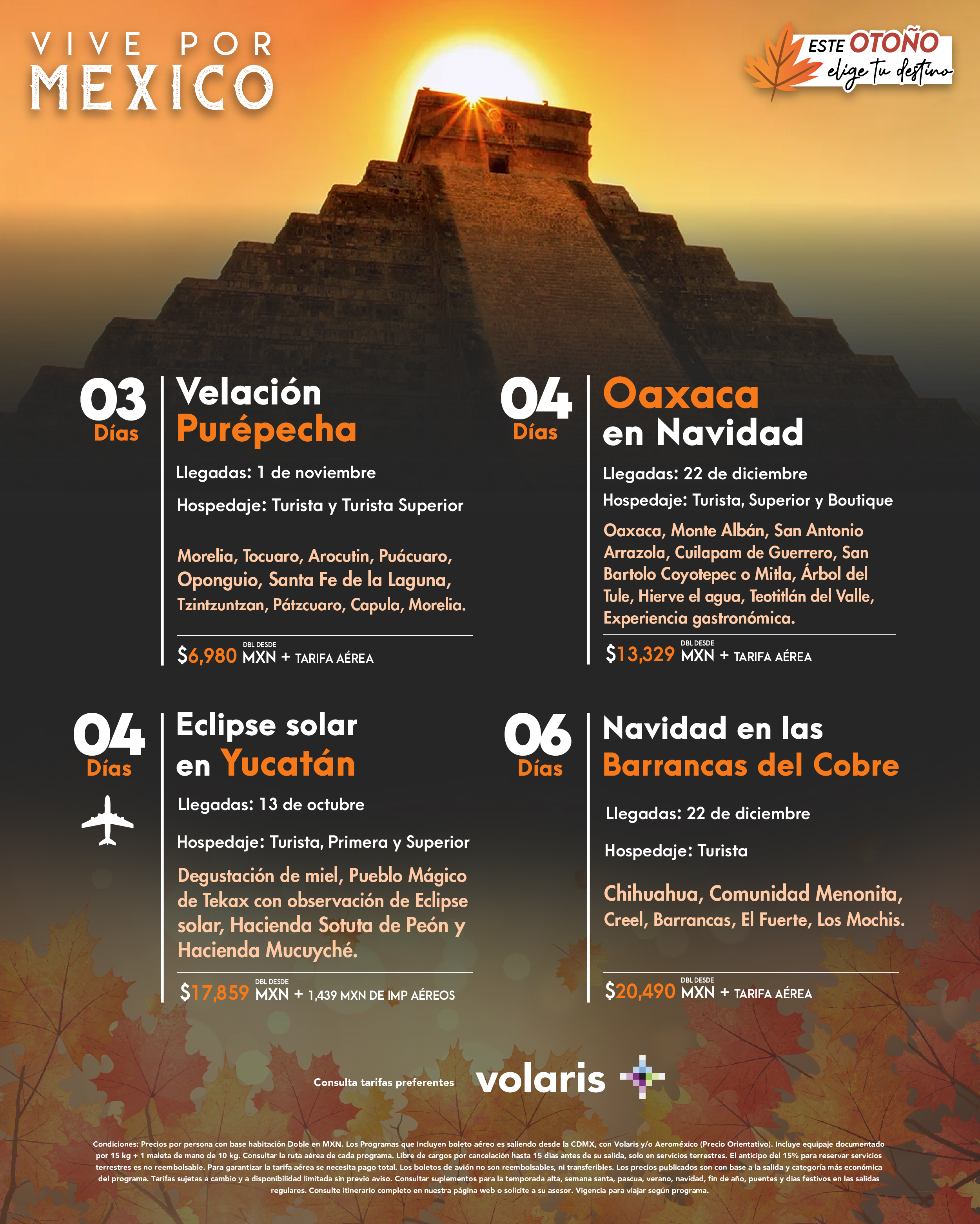 Flyer Travel Shop