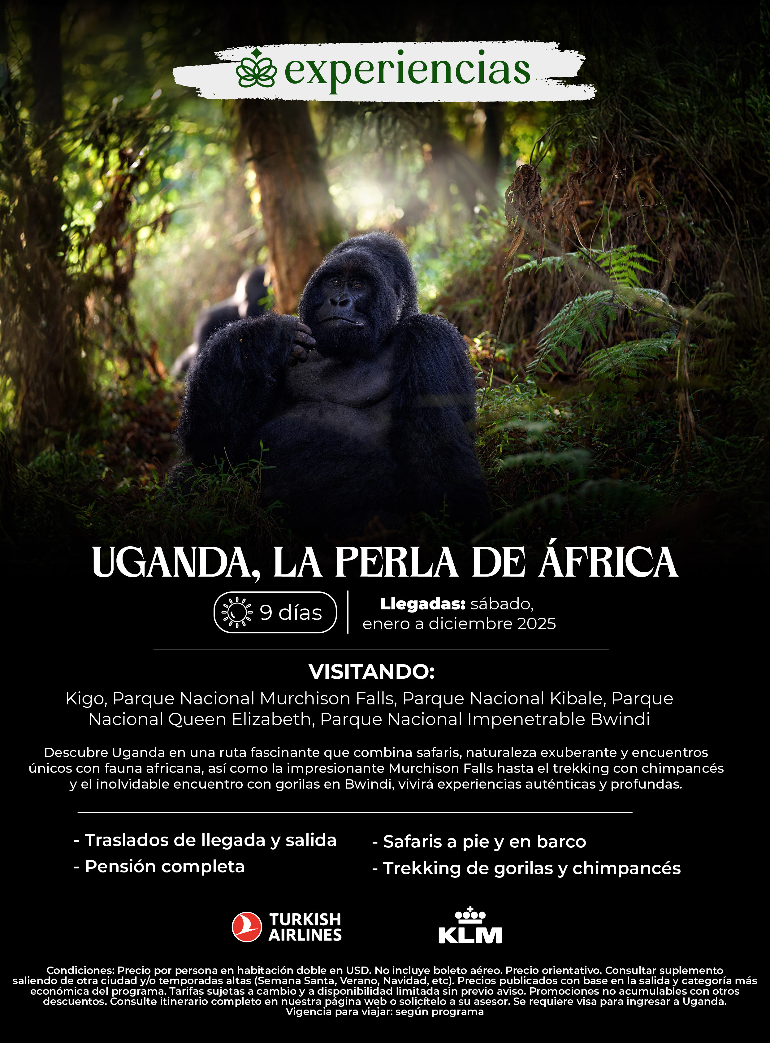 Flyer Travel Shop