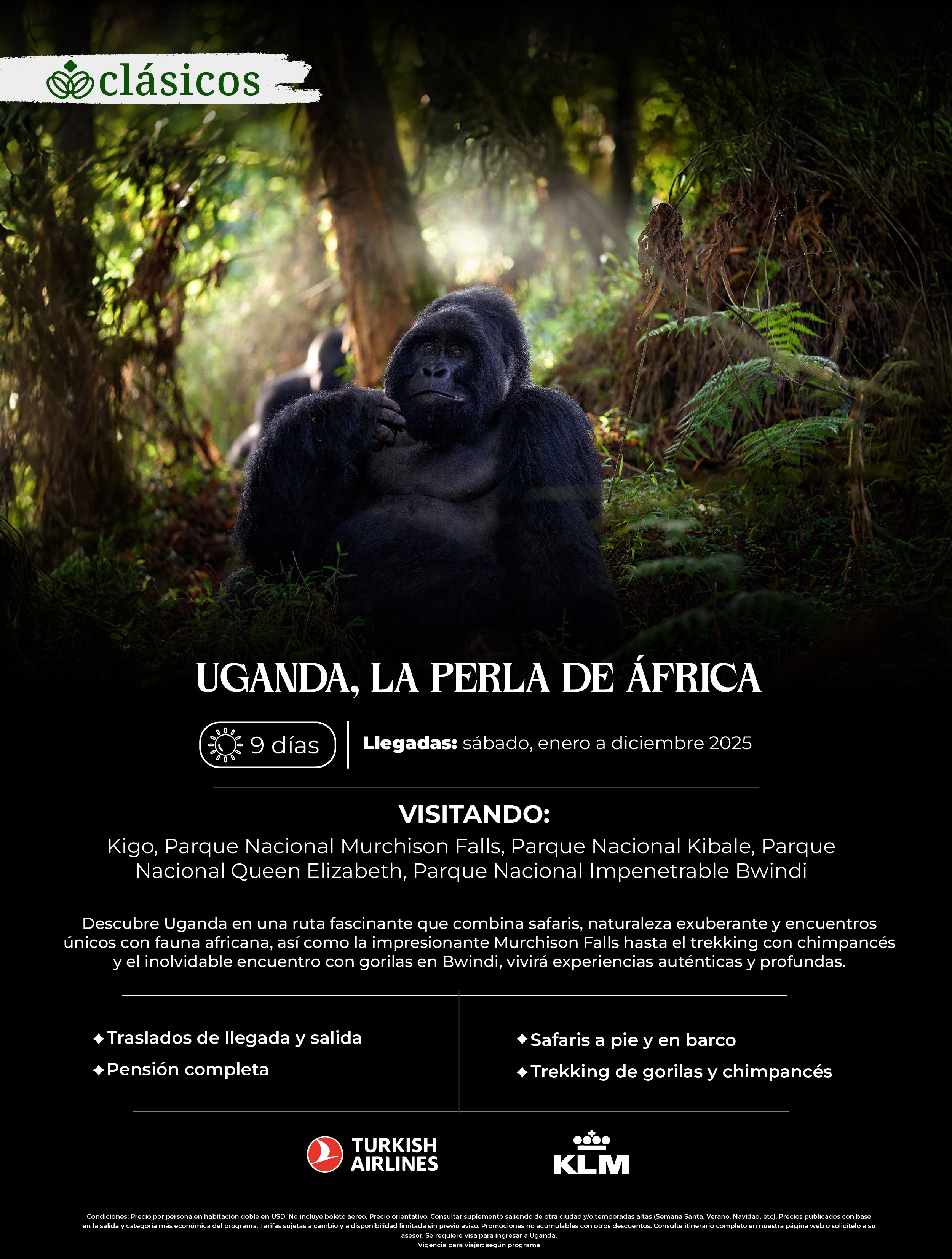 Flyer Travel Shop