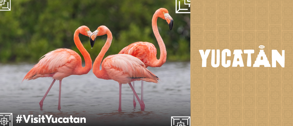 VIVE YUCATÁN A TU ALCANCE EN VERANO