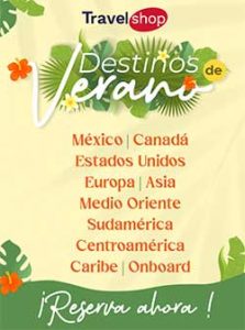 Descarga