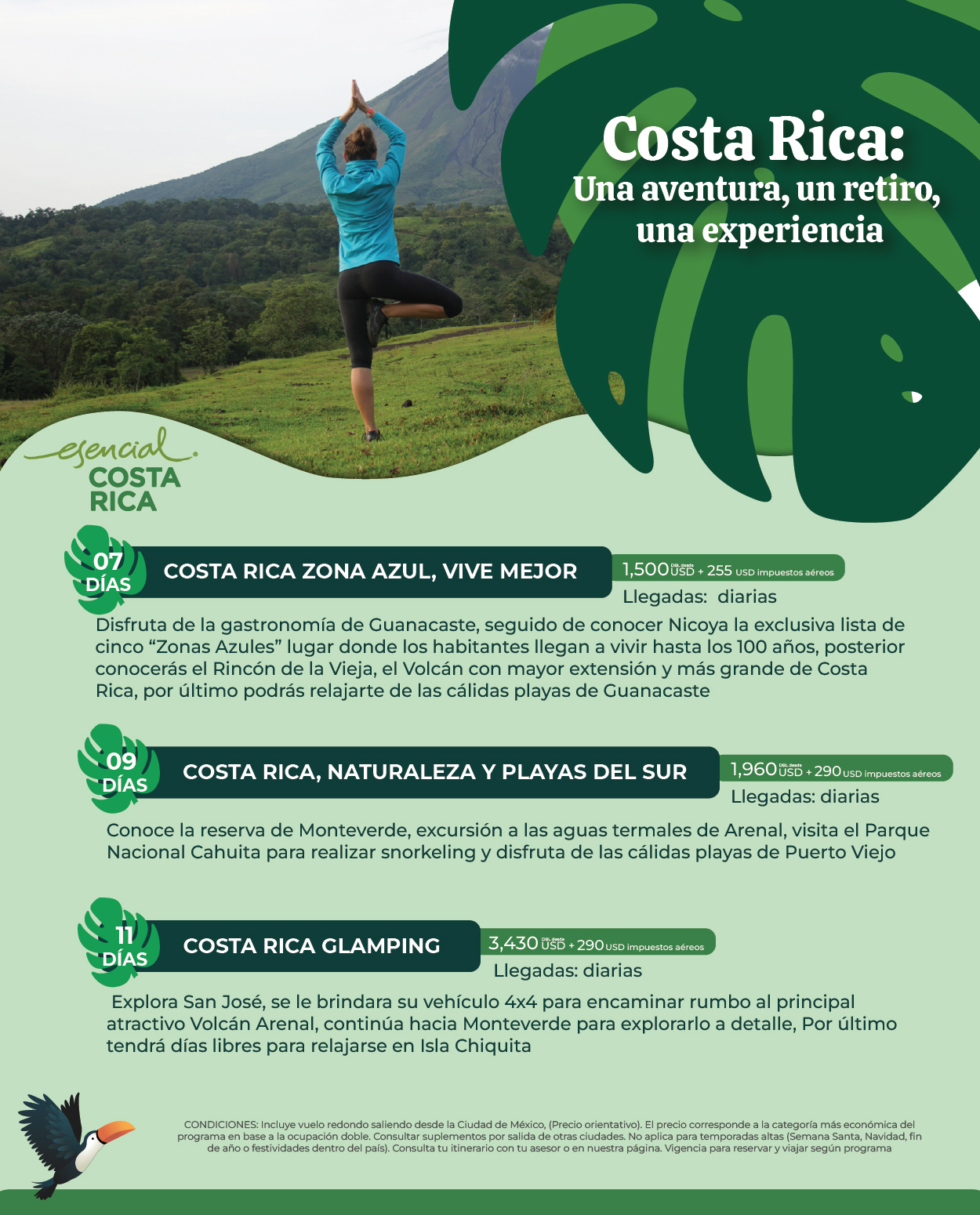 Flyer Travel Shop