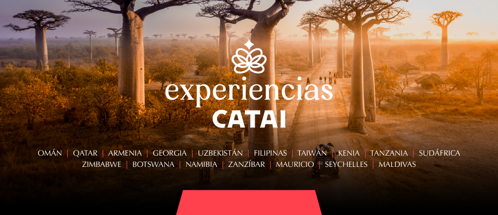 ESENCIA DE SUDÁFRICA