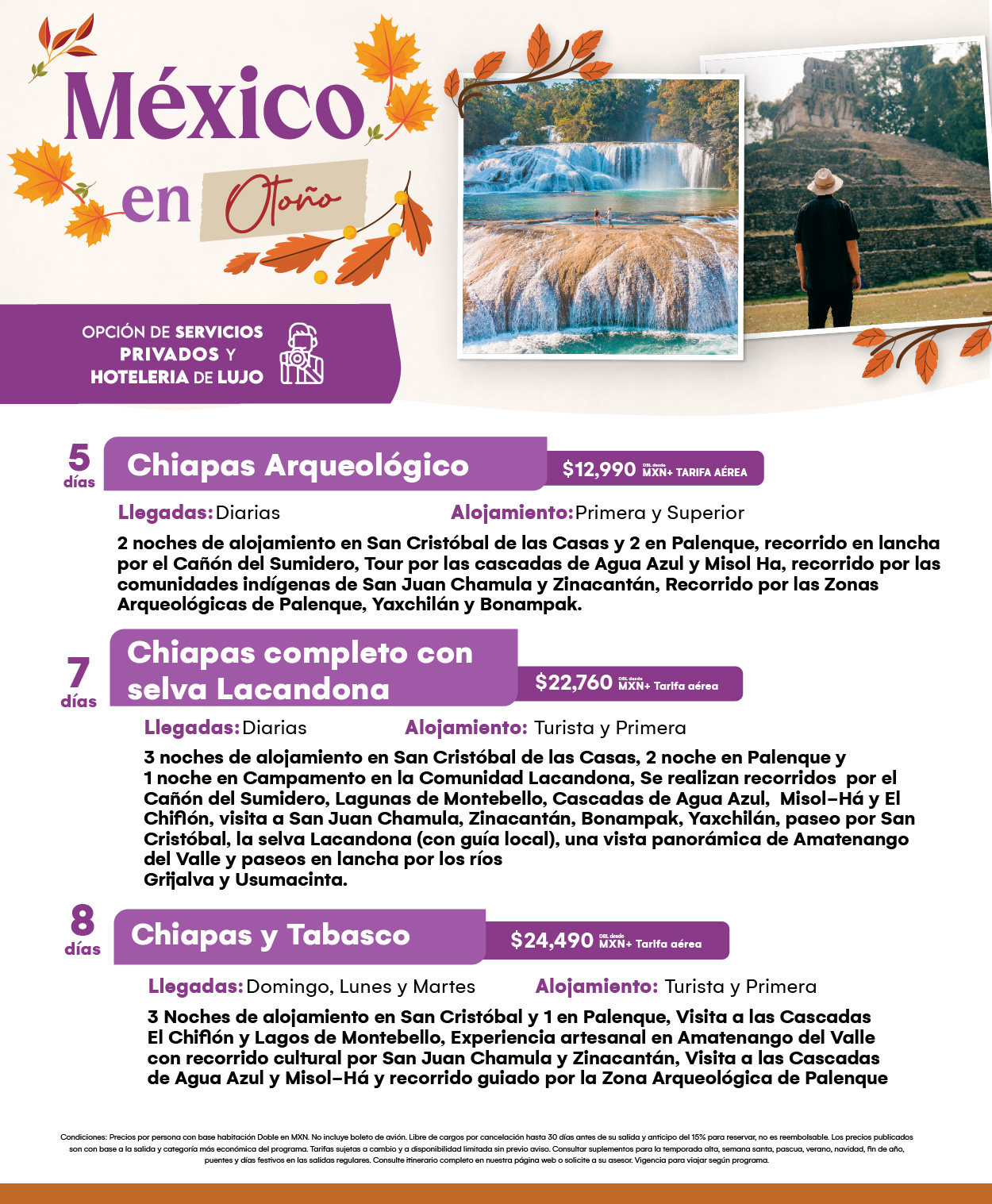 Flyer Travel Shop