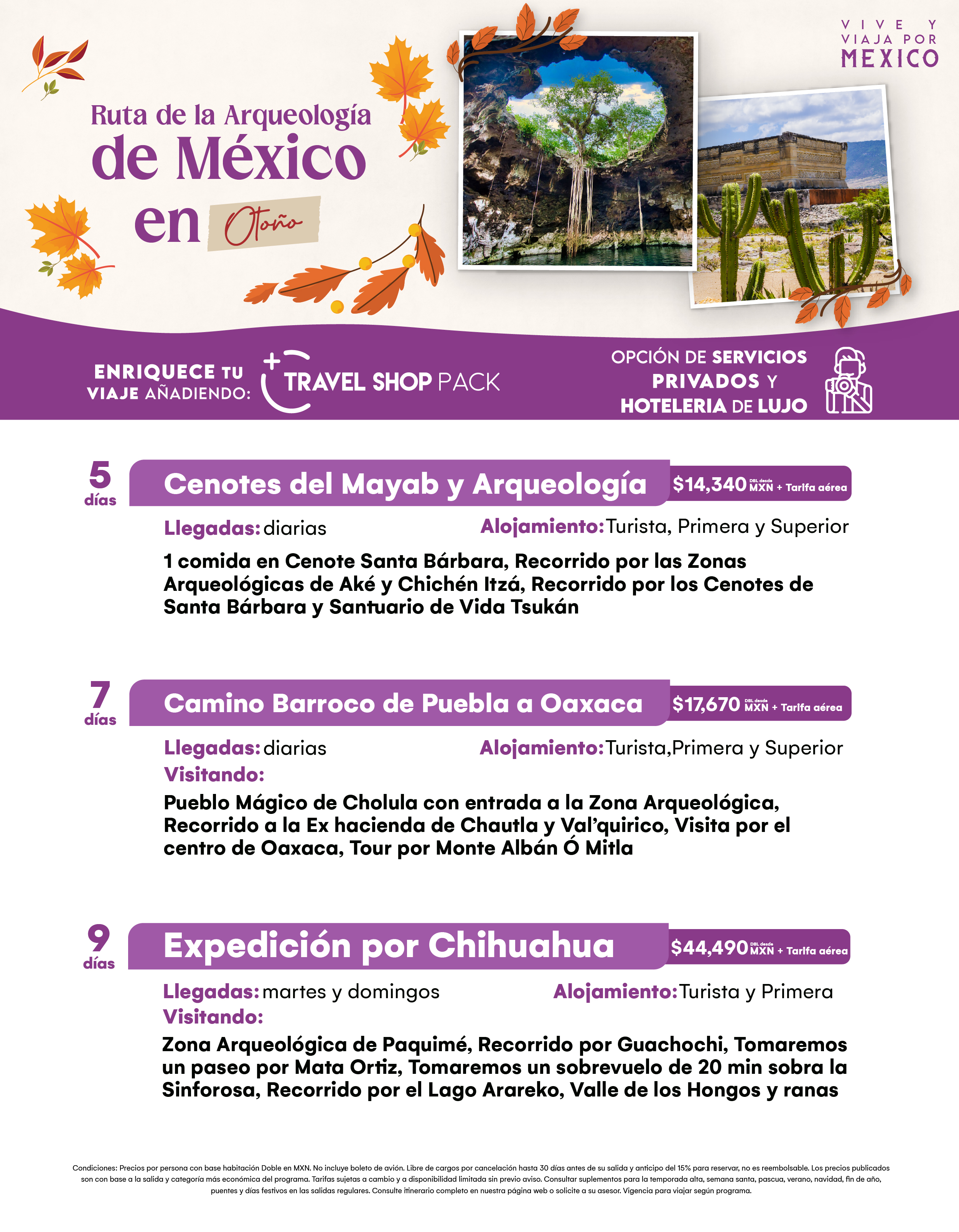 Flyer Travel Shop