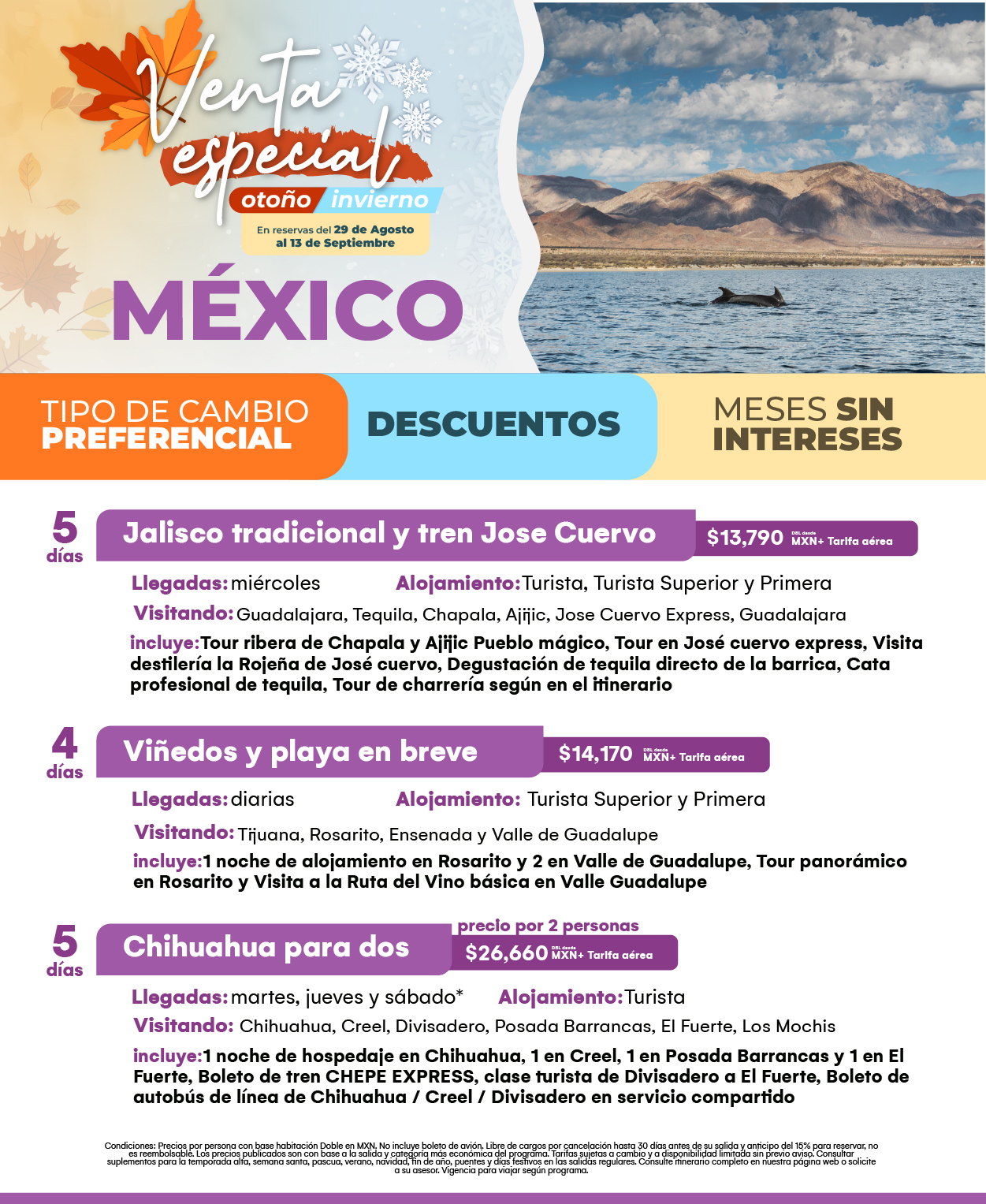 Flyer Travel Shop