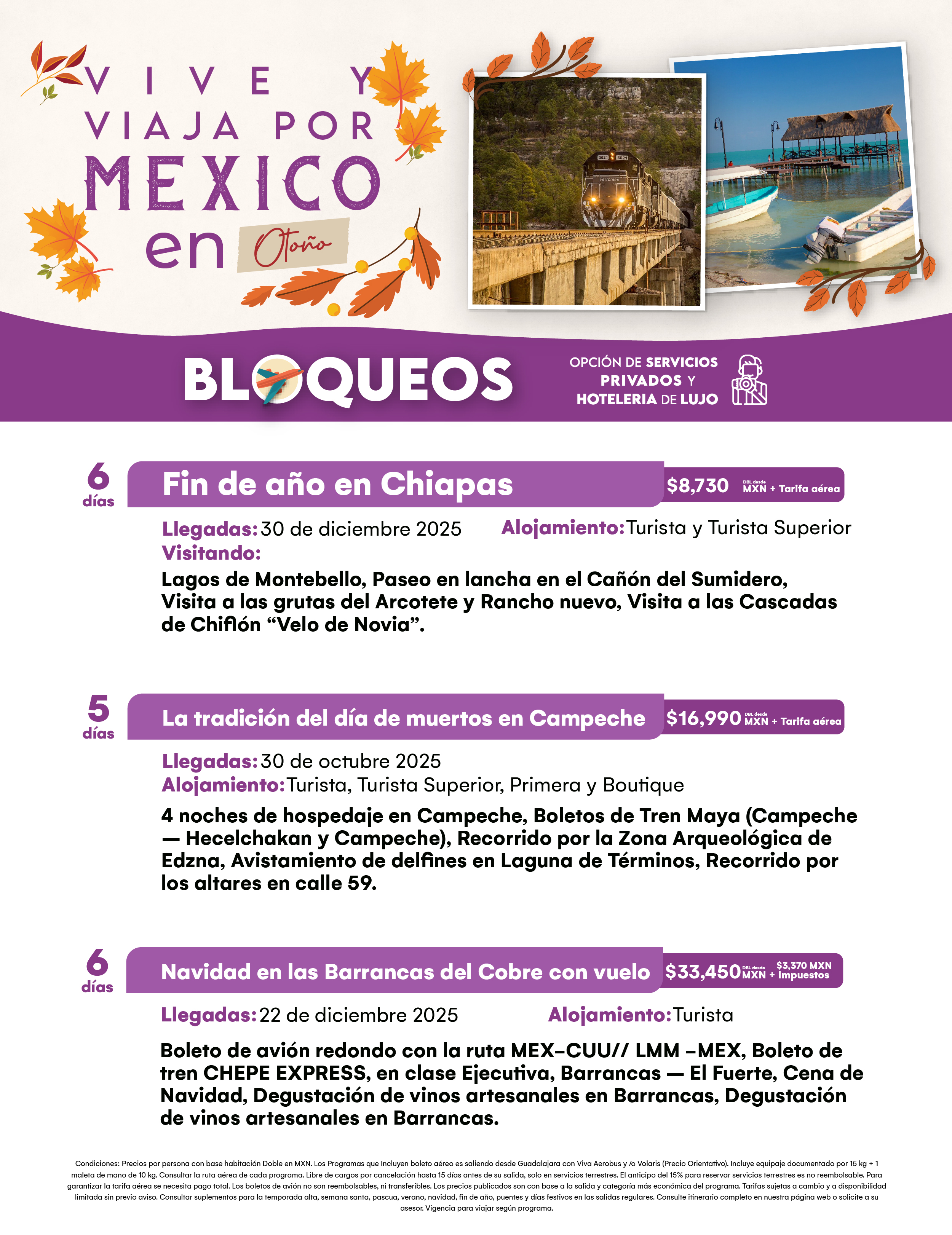 Flyer Travel Shop