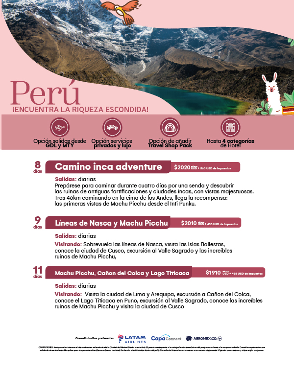 Flyer Travel Shop