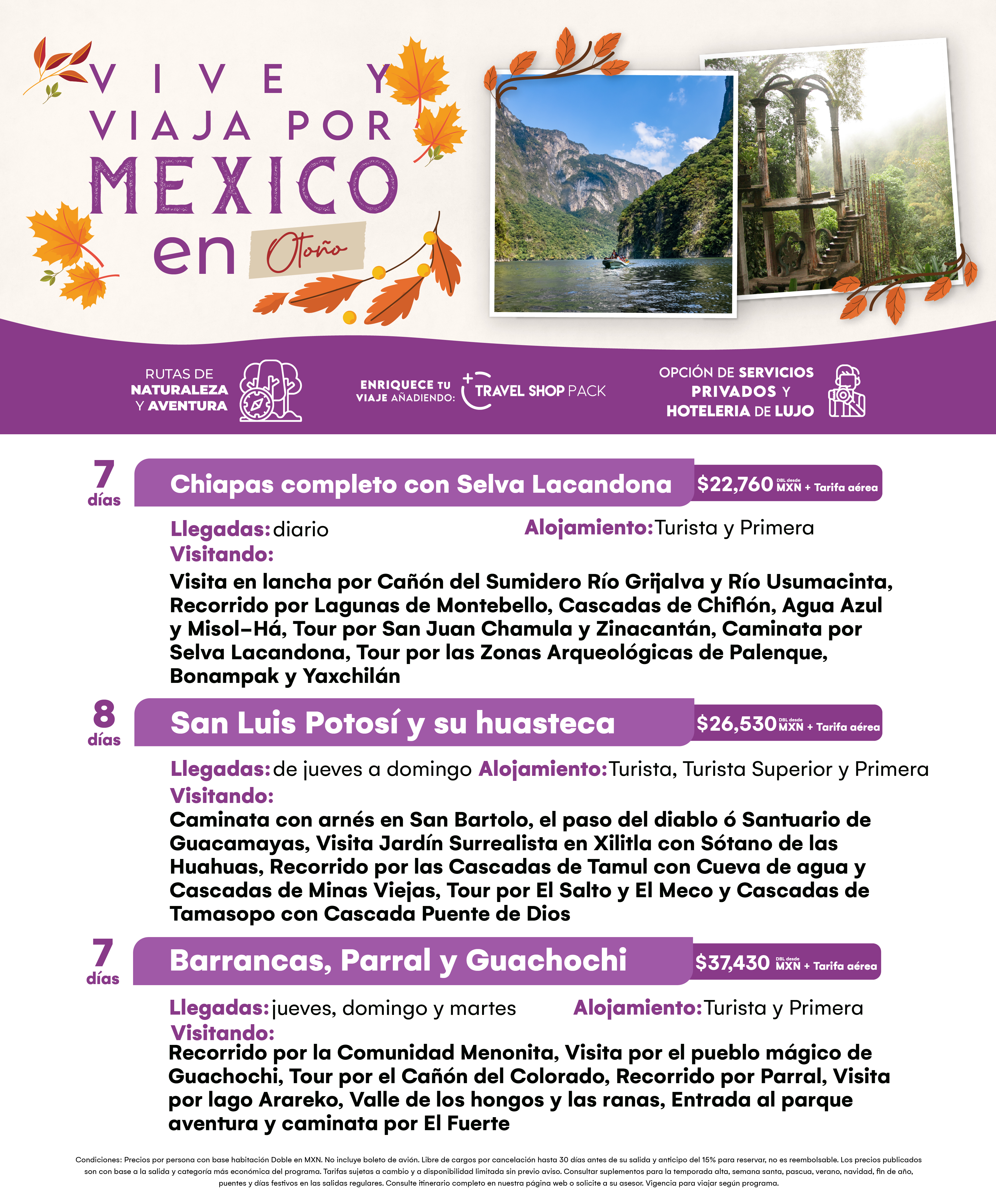 Flyer Travel Shop