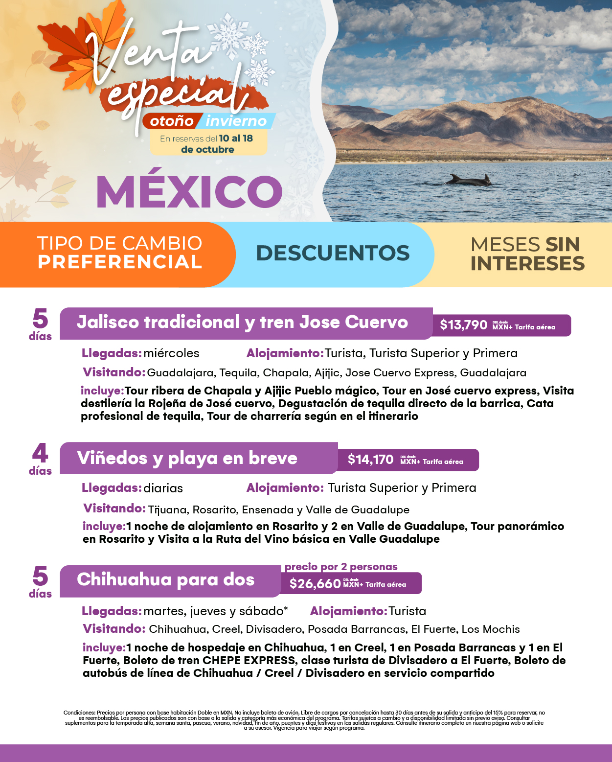 Flyer Travel Shop