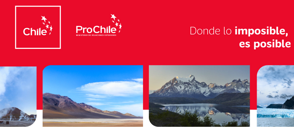 CHILE, RUTA DEL VINO desde Guadalajara