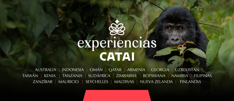 ESENCIA DE SUDÁFRICA