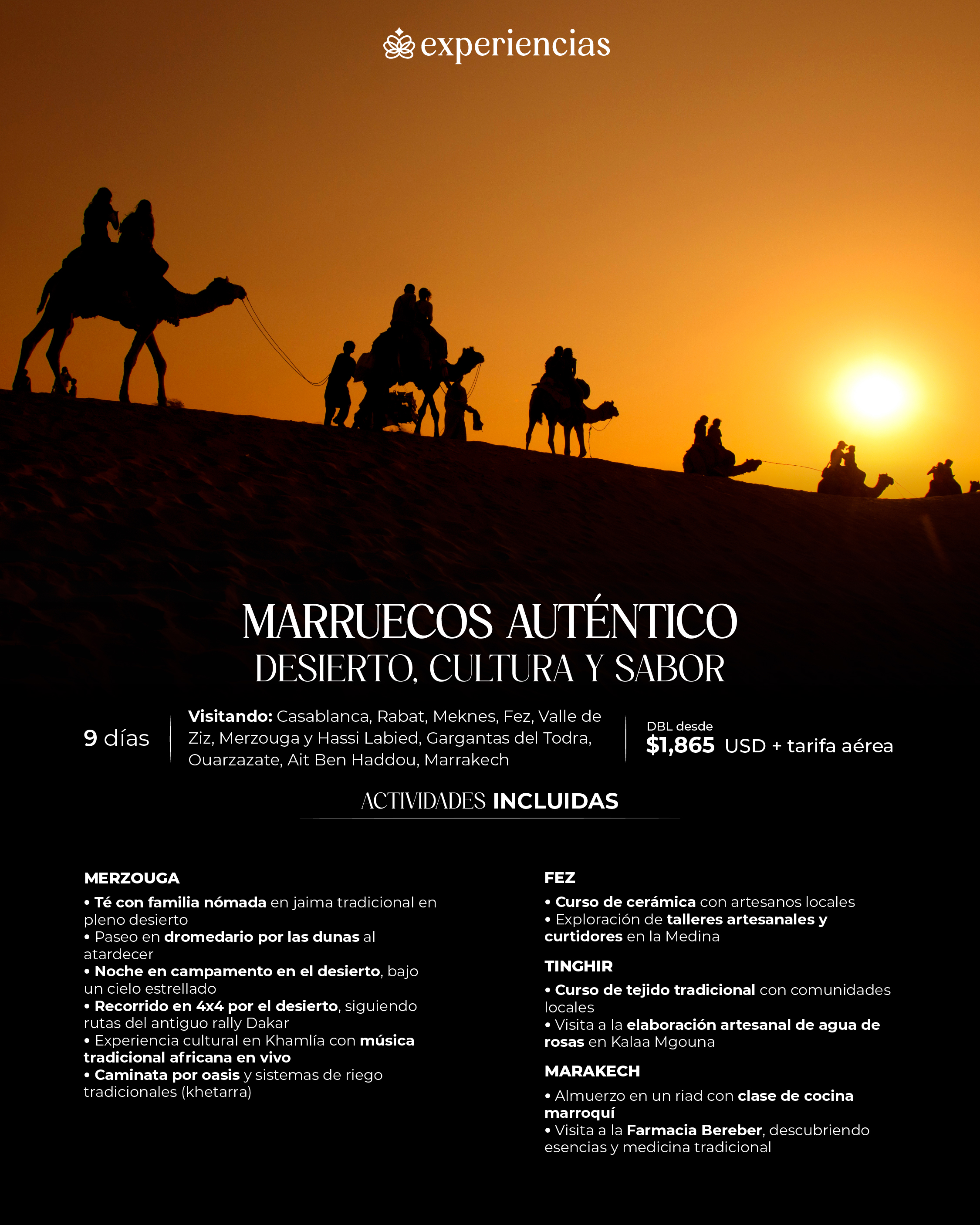 Descarga