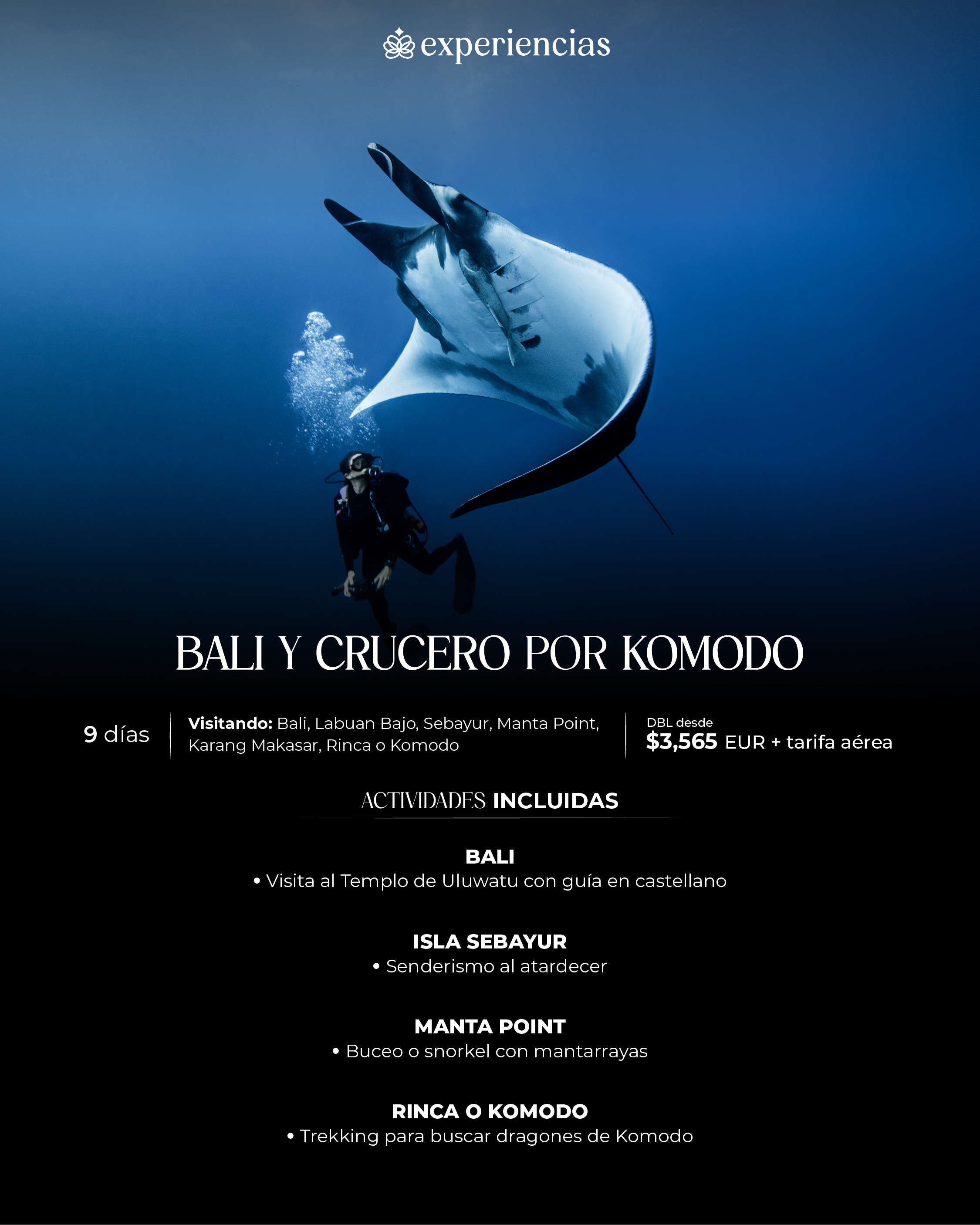 Descarga