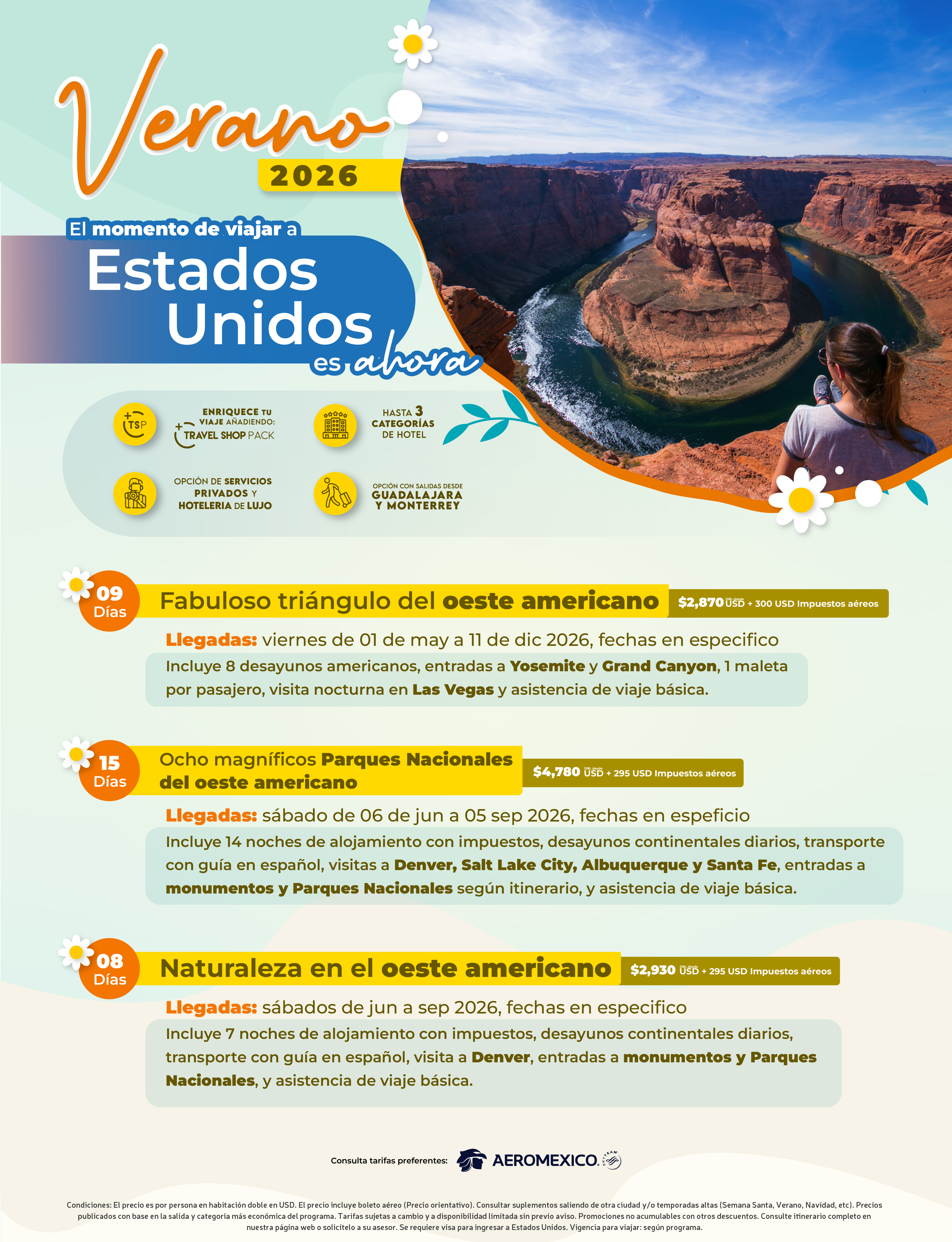 Descarga