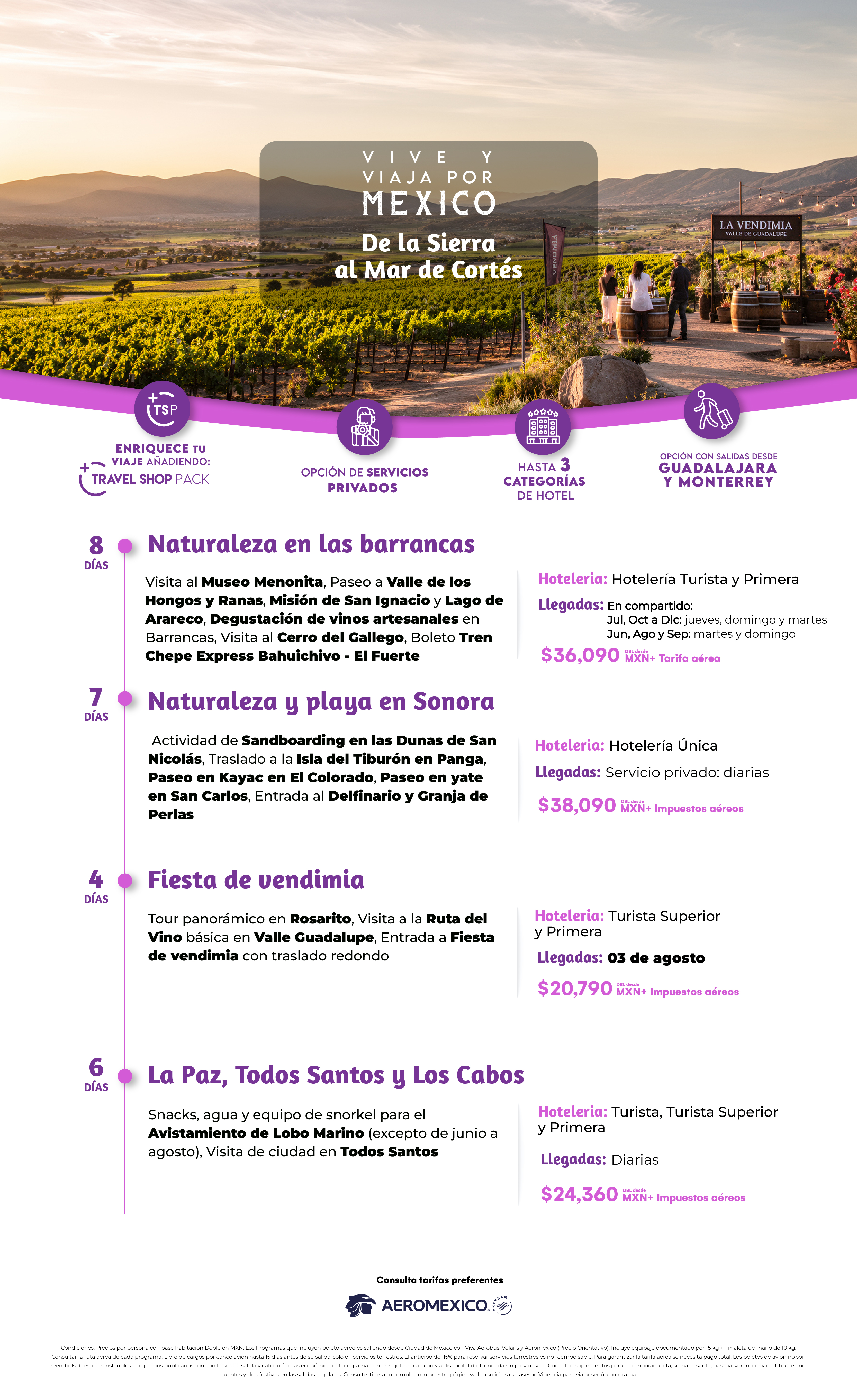 Descarga