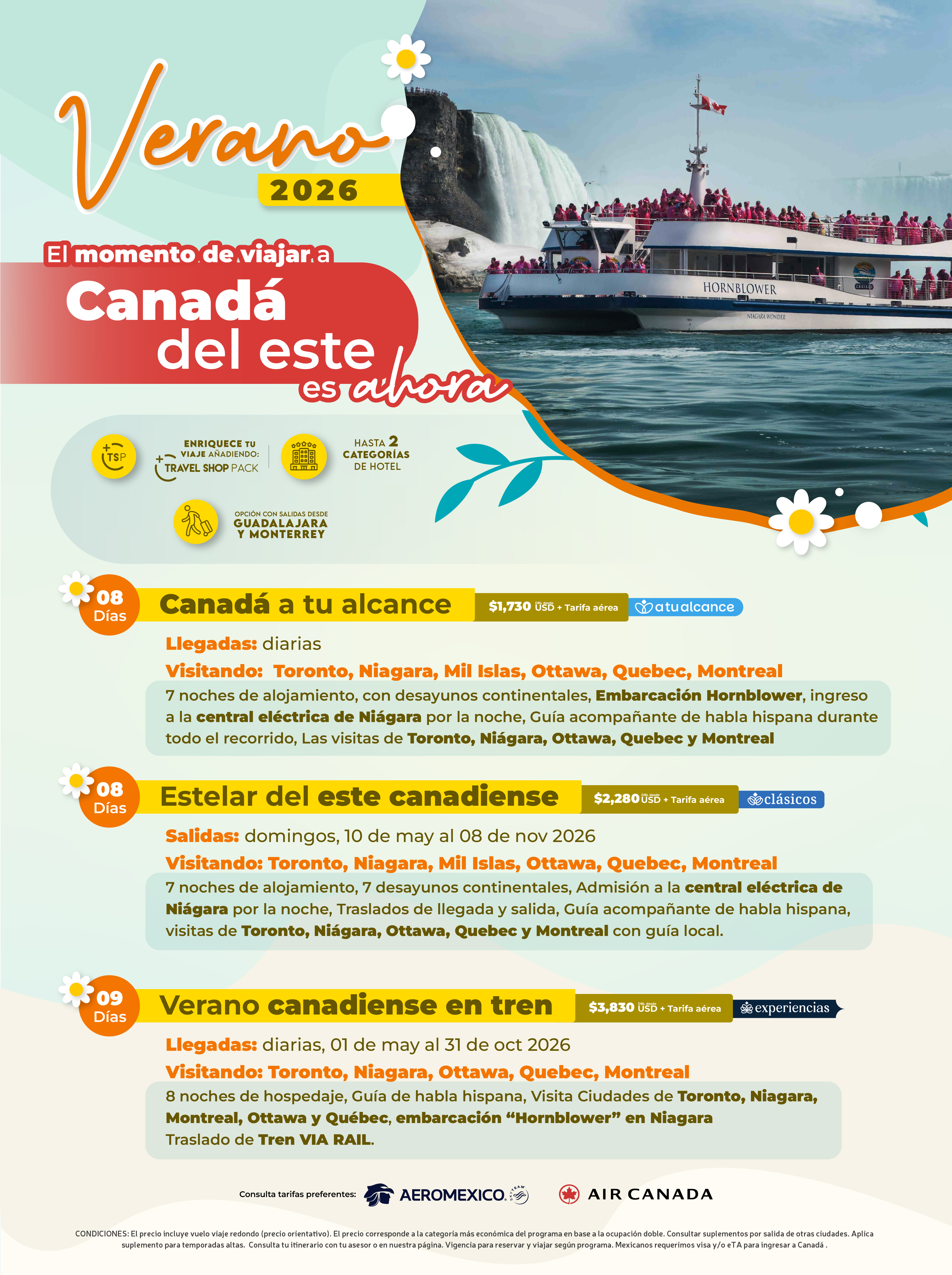 Descarga