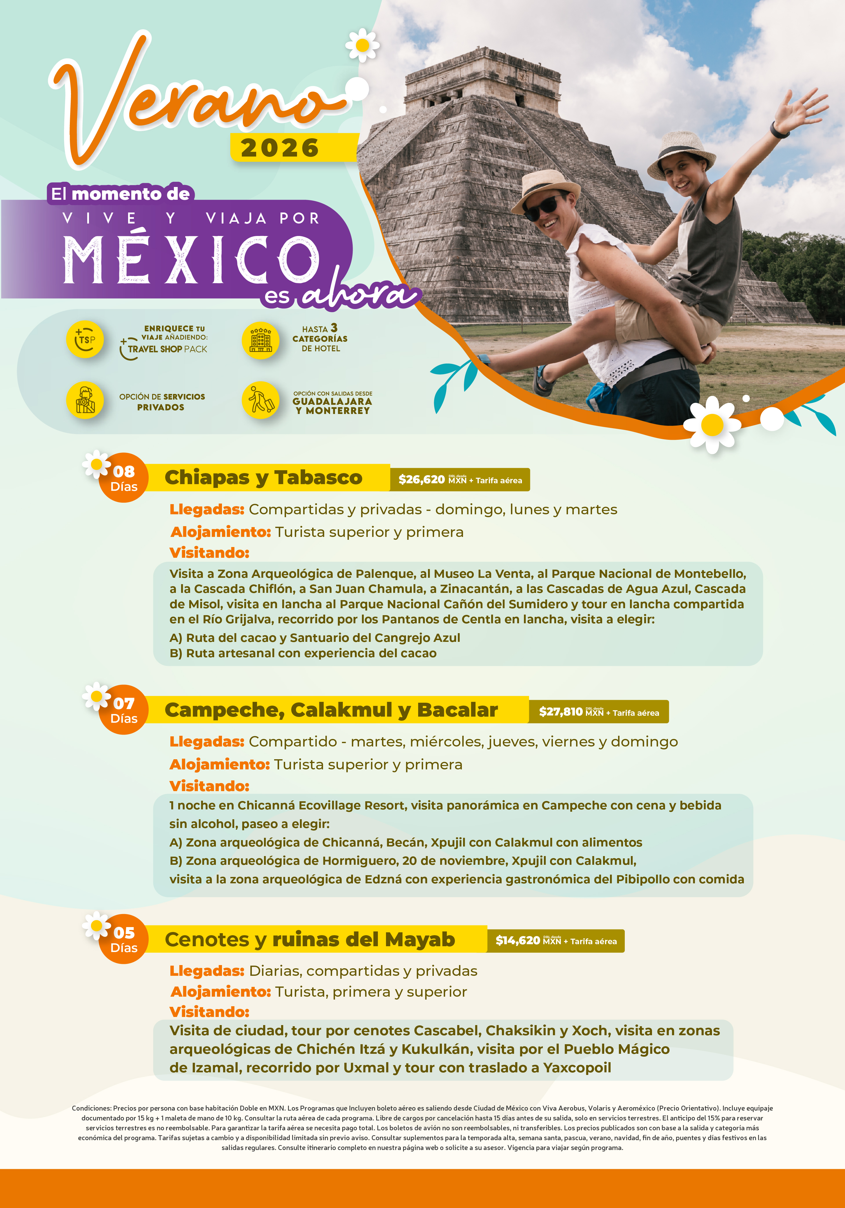 Descarga