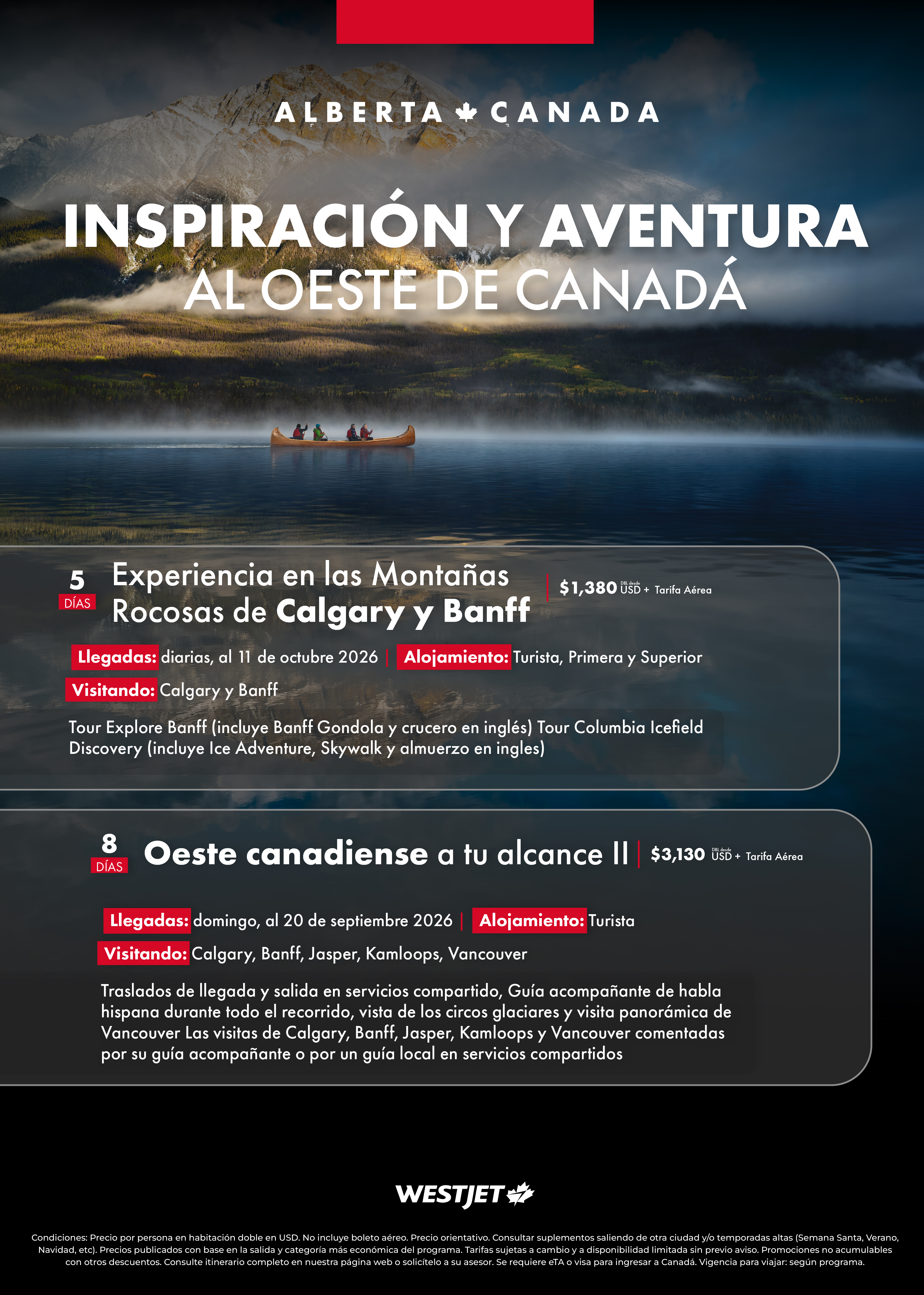 Descarga