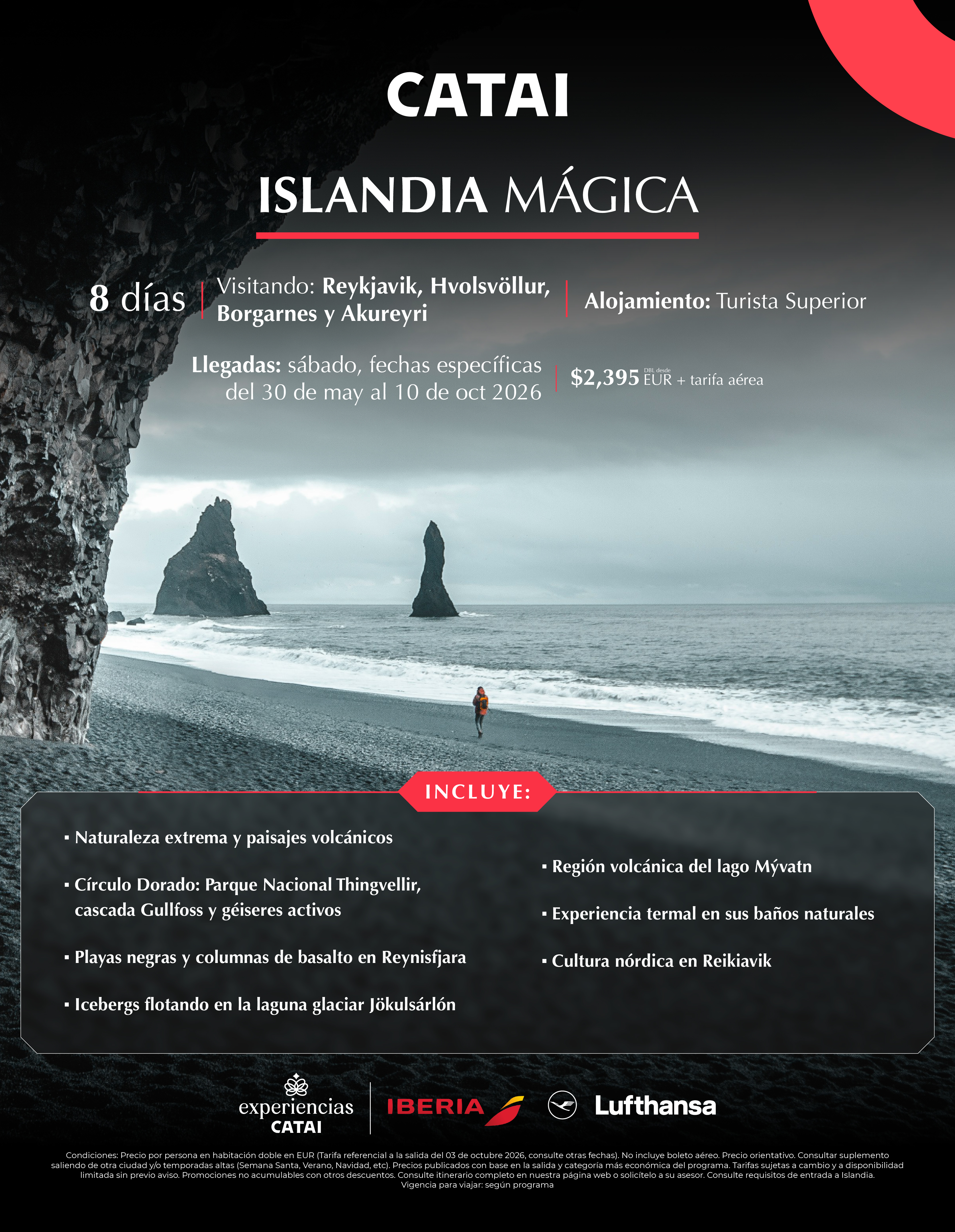 Descarga