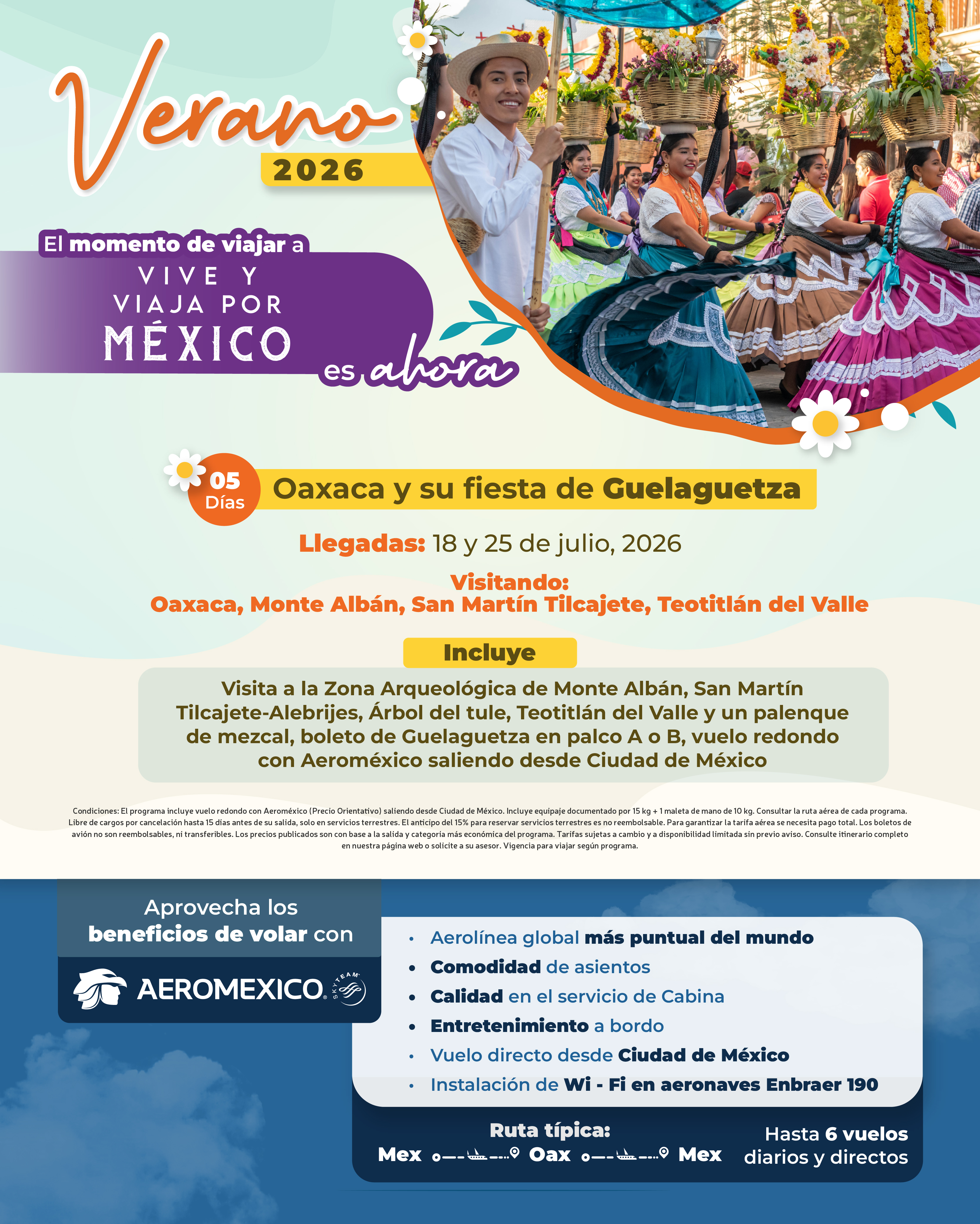 Descarga