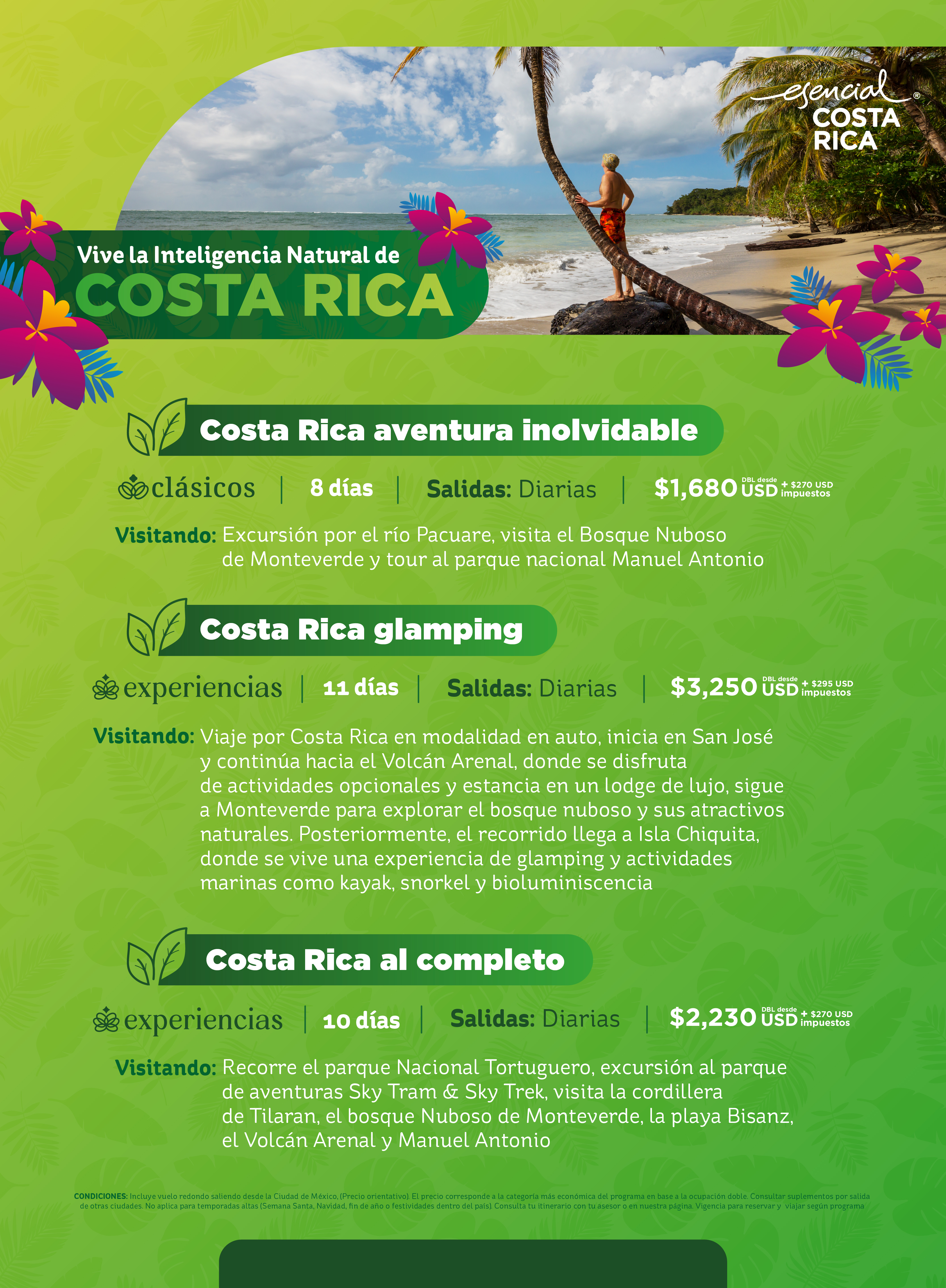 Descarga