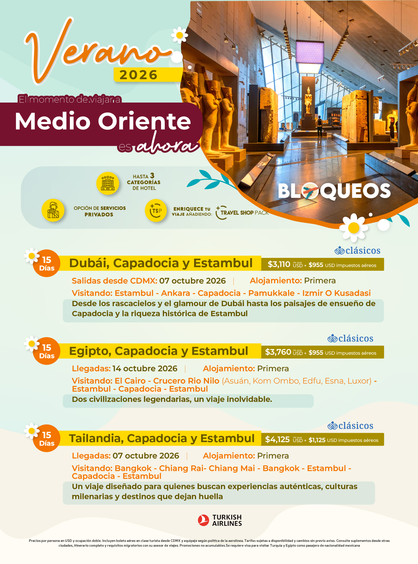Descarga