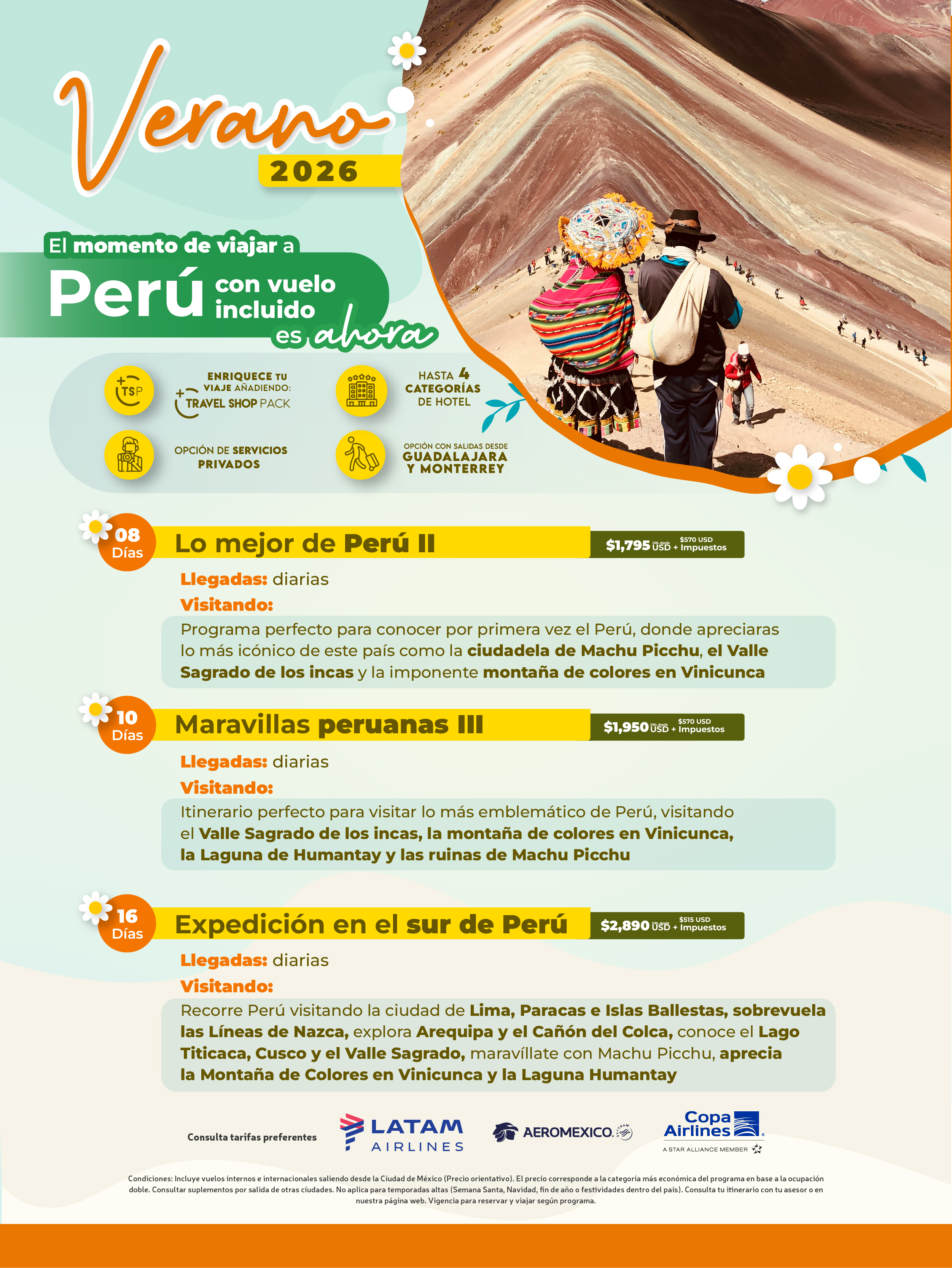 Descarga