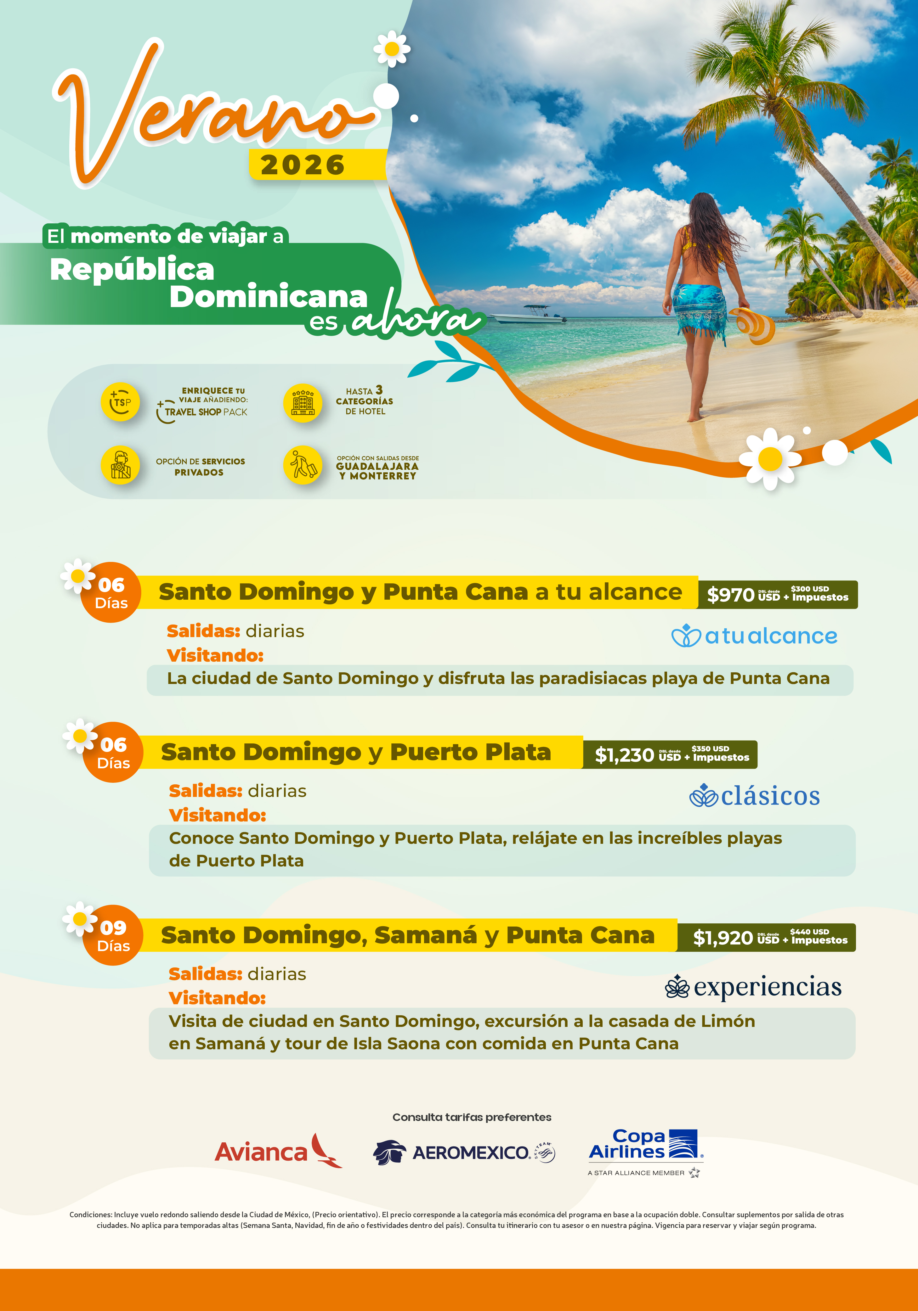 Descarga