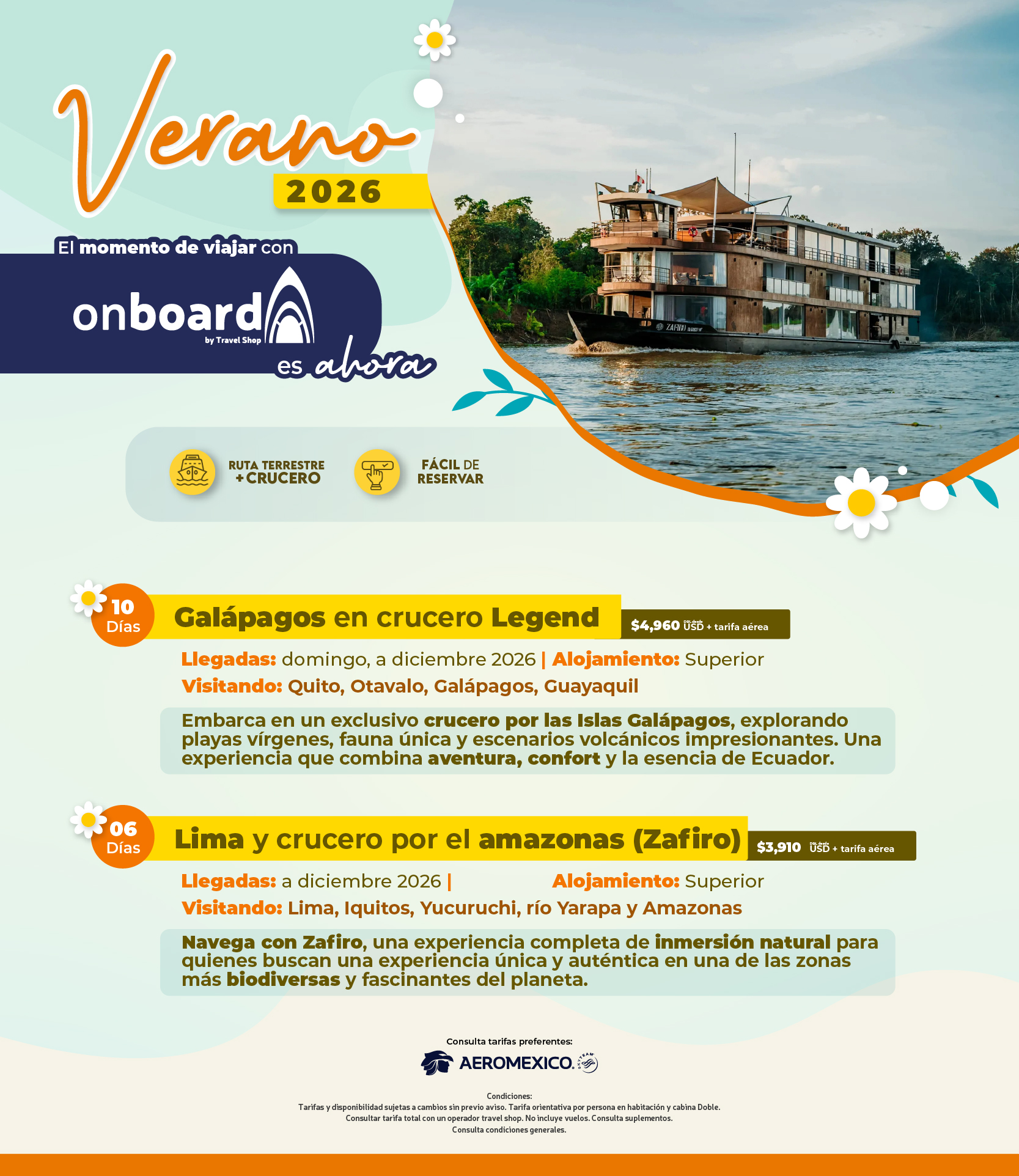 Descarga
