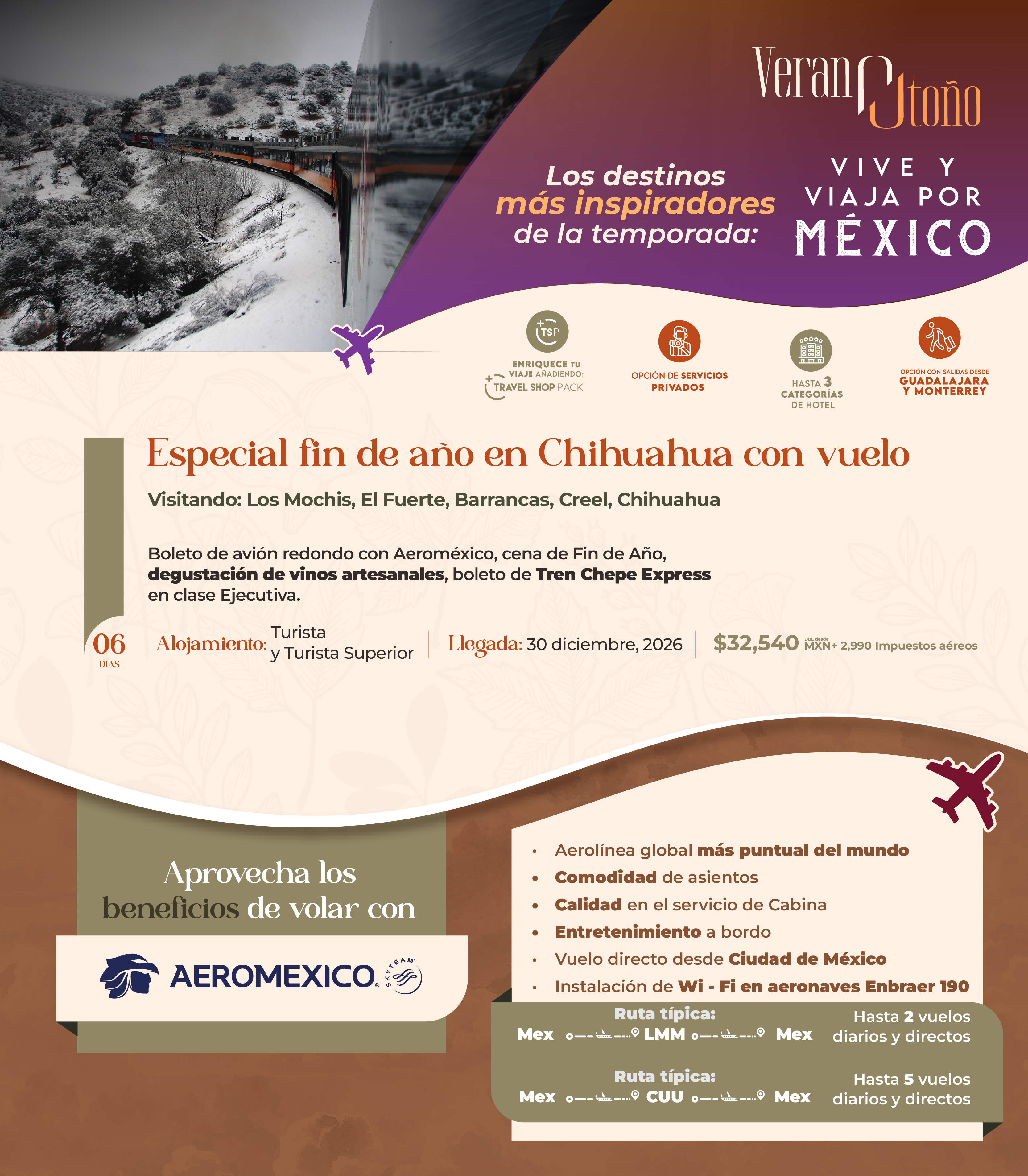 Descarga