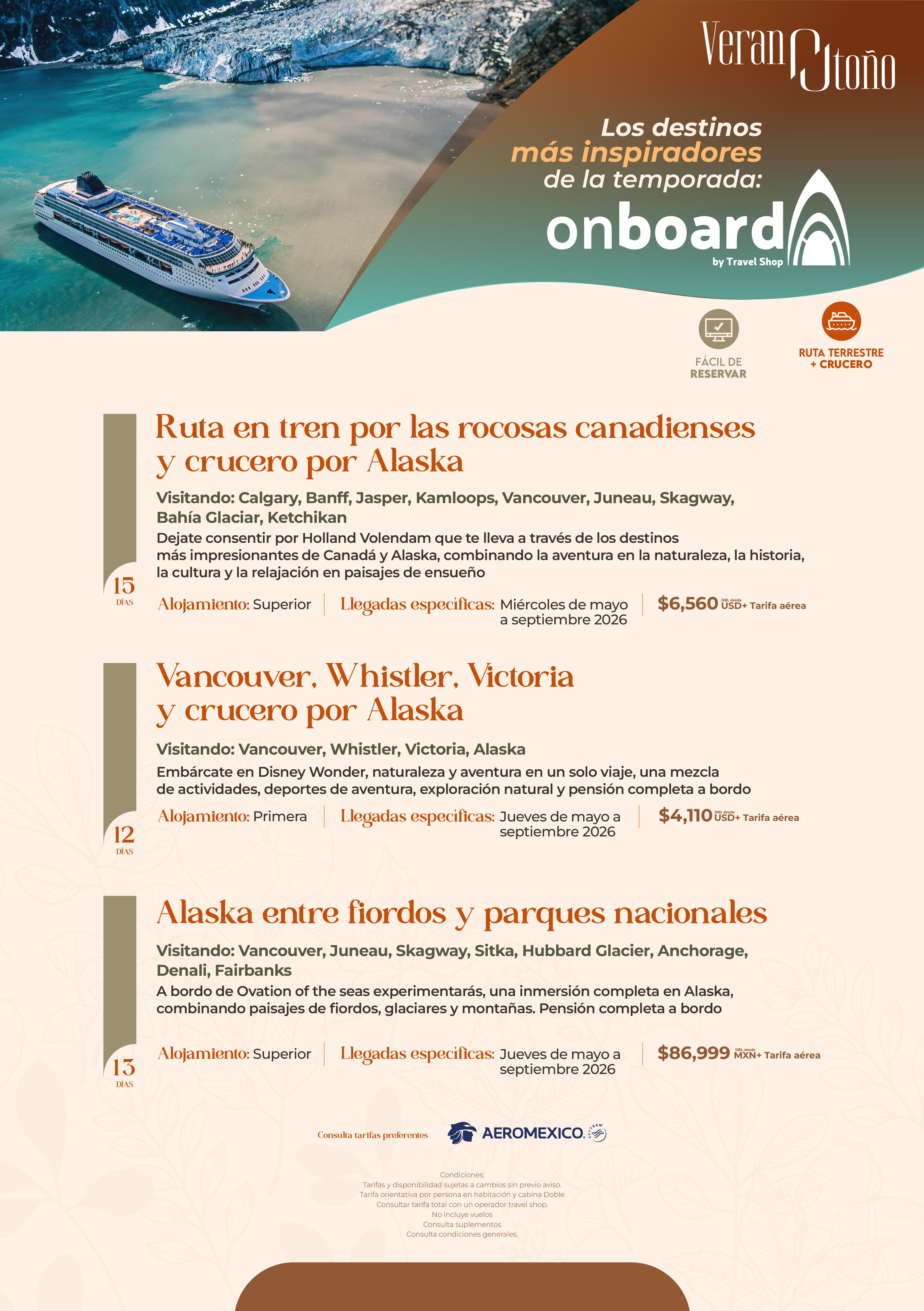 Descarga