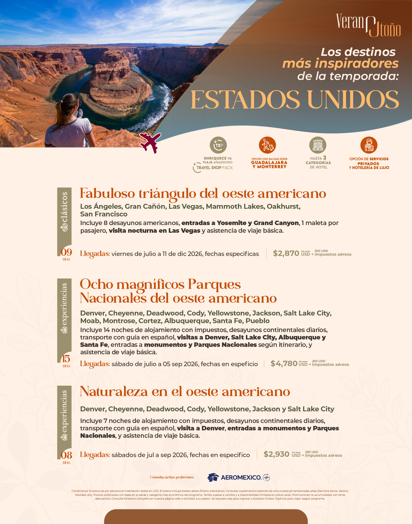 Descarga