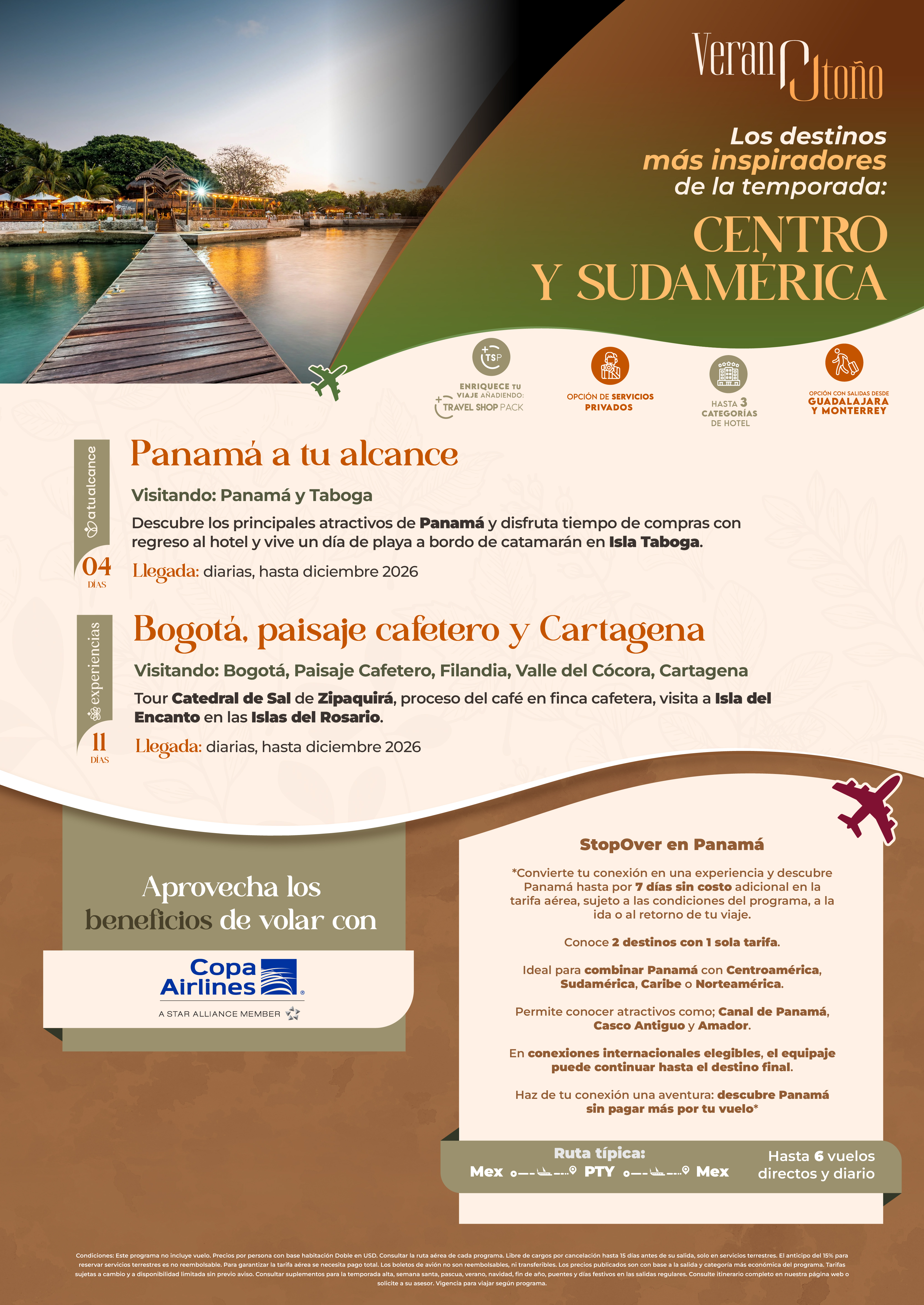 Descarga