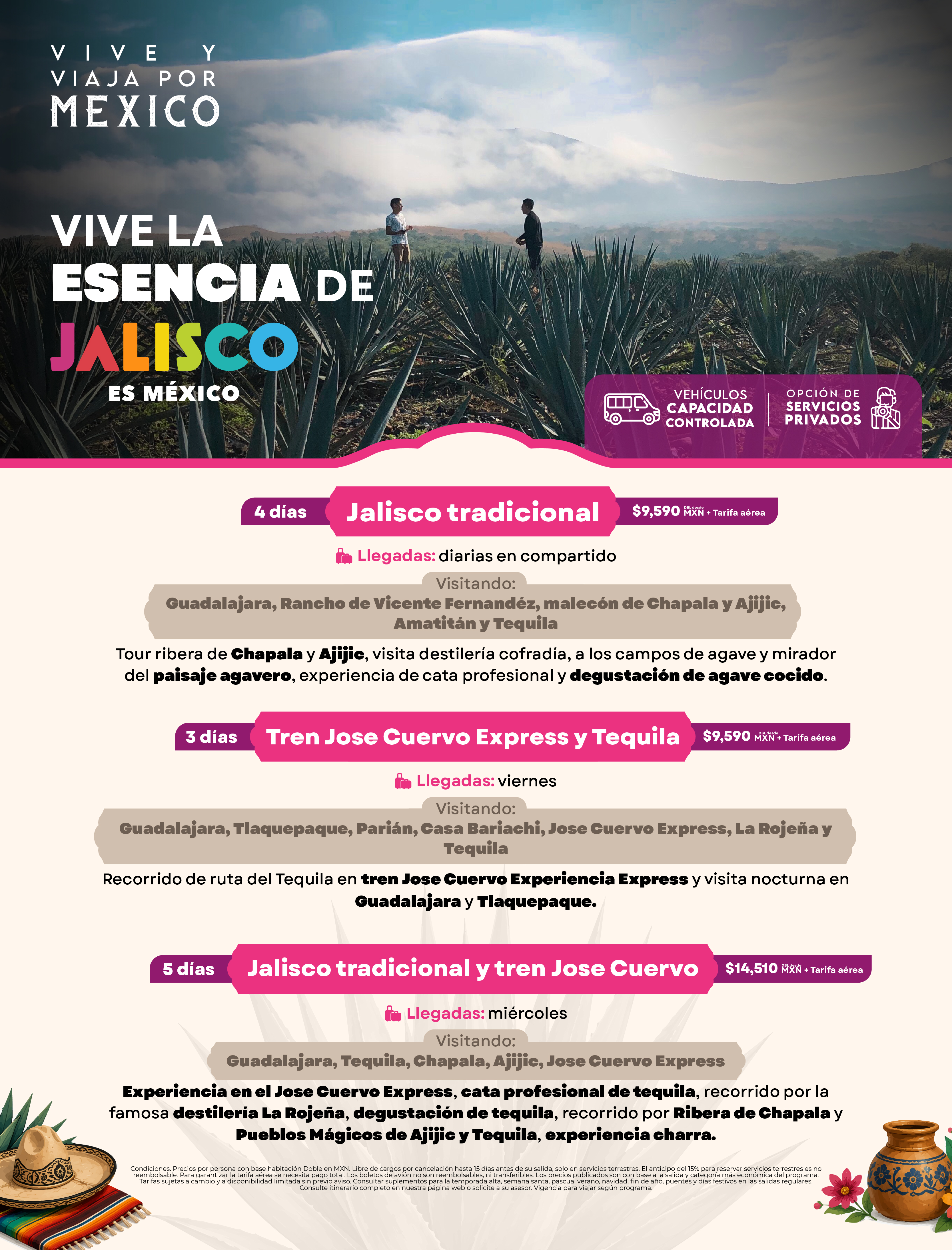 Descarga