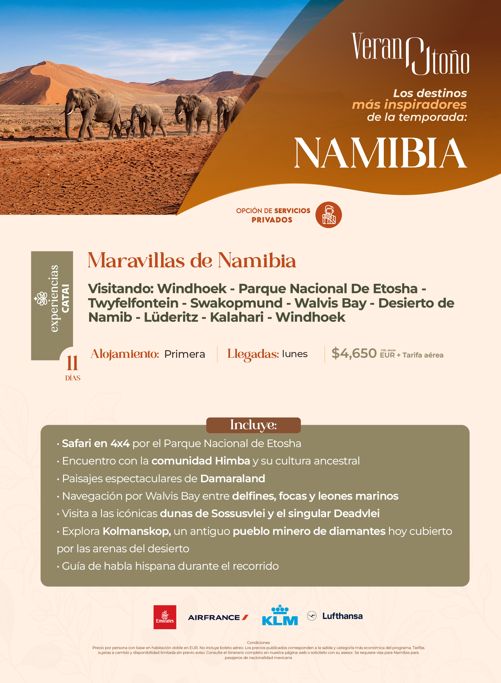 Descarga