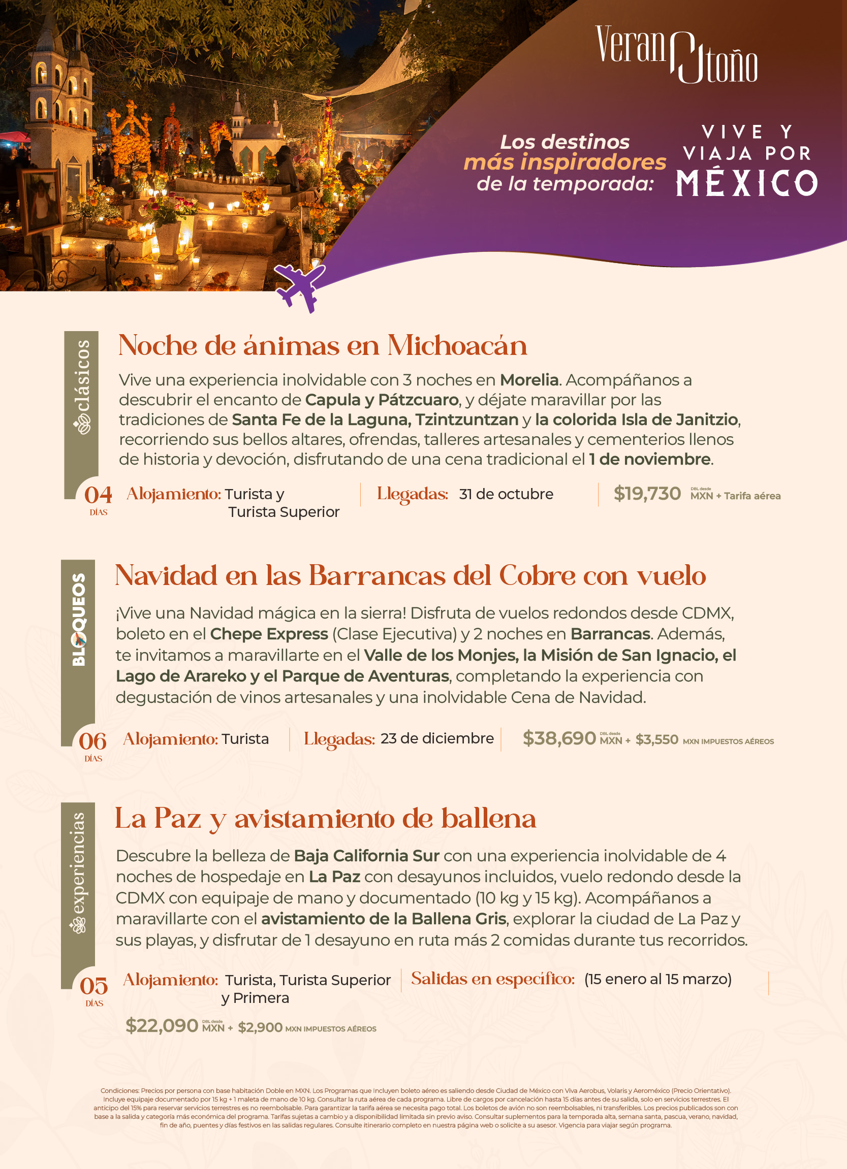 Descarga