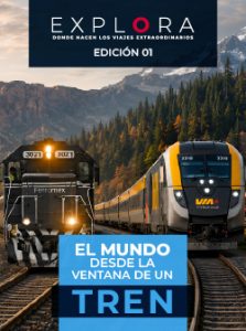 Descarga