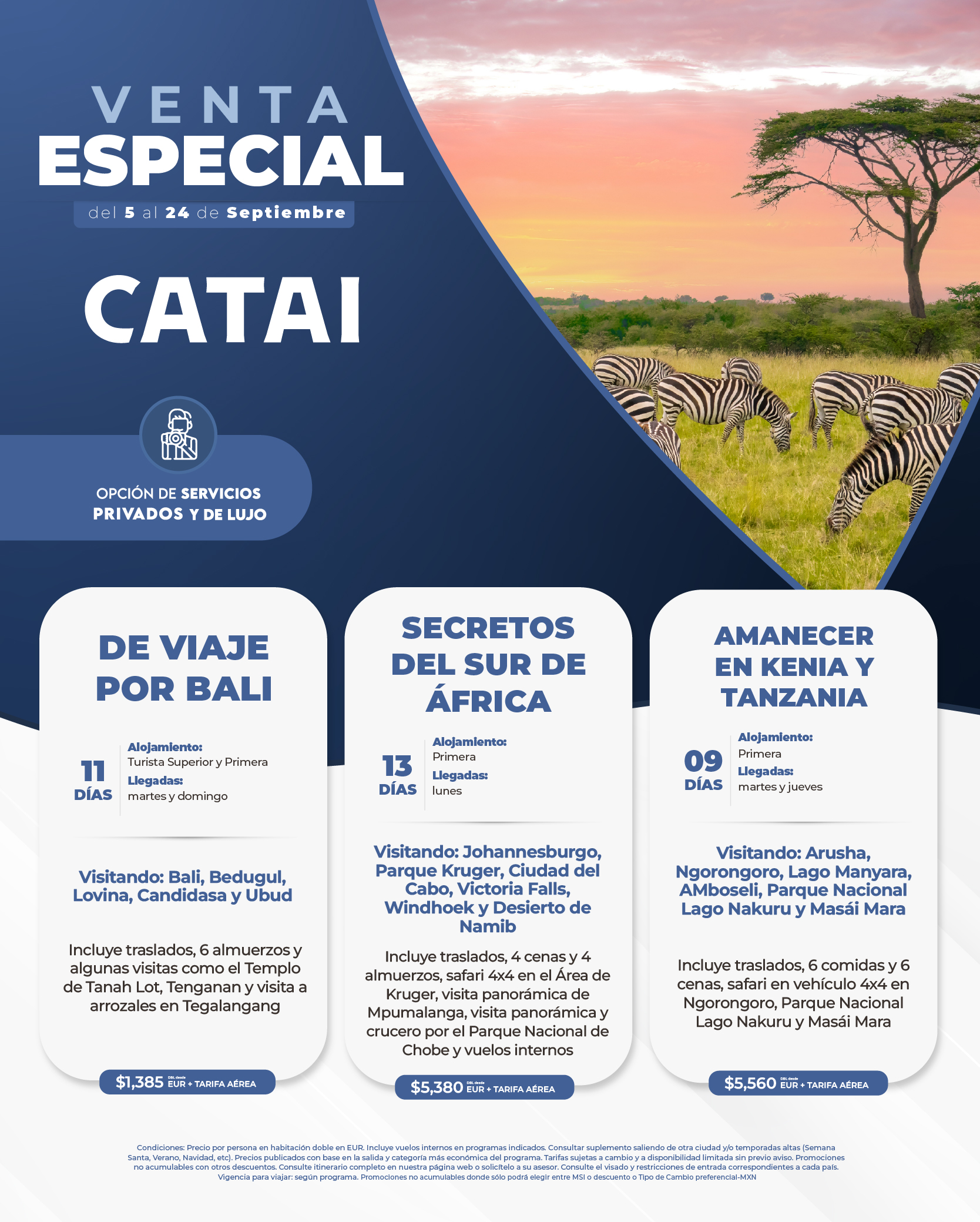 Descarga