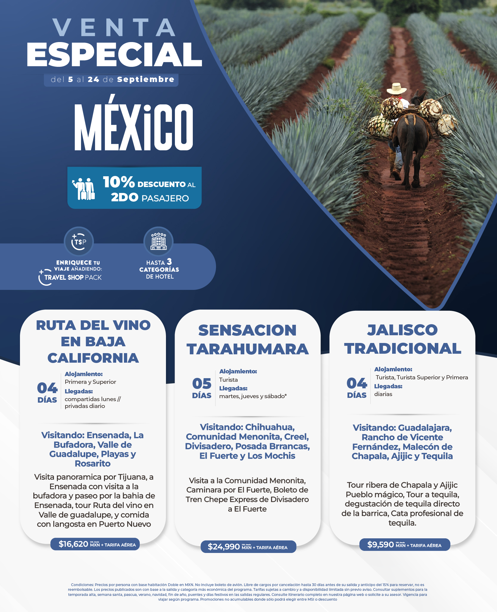 Descarga