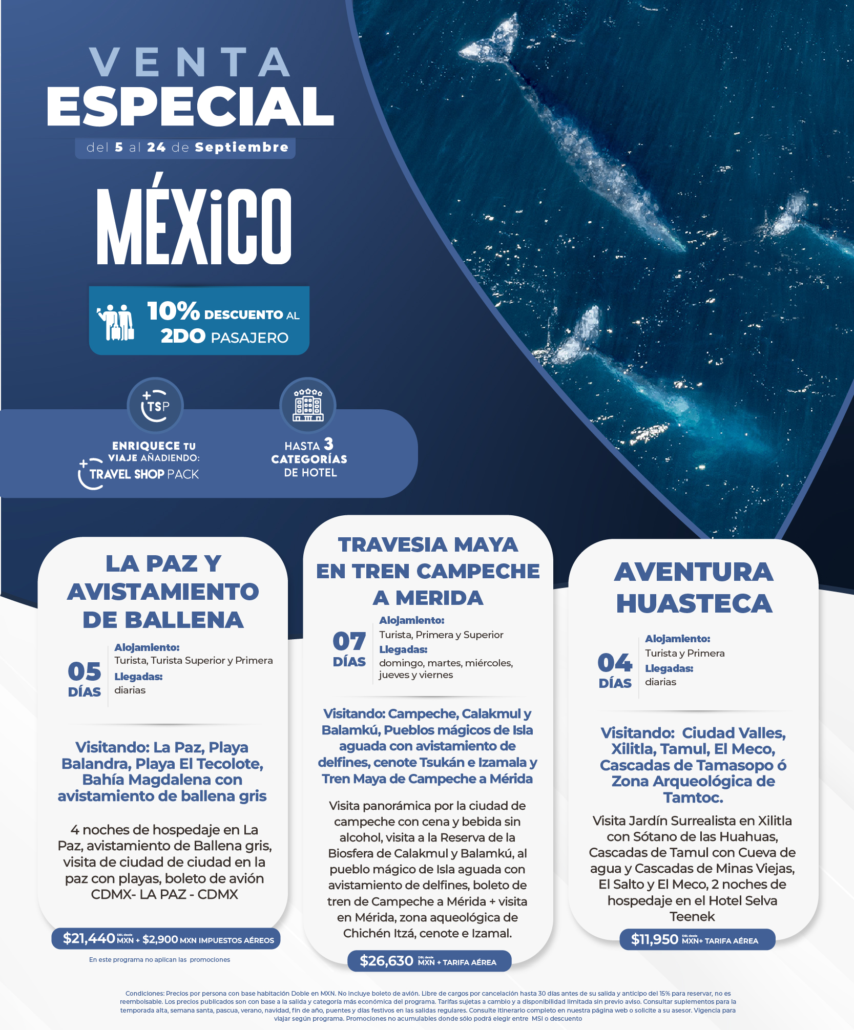 Descarga
