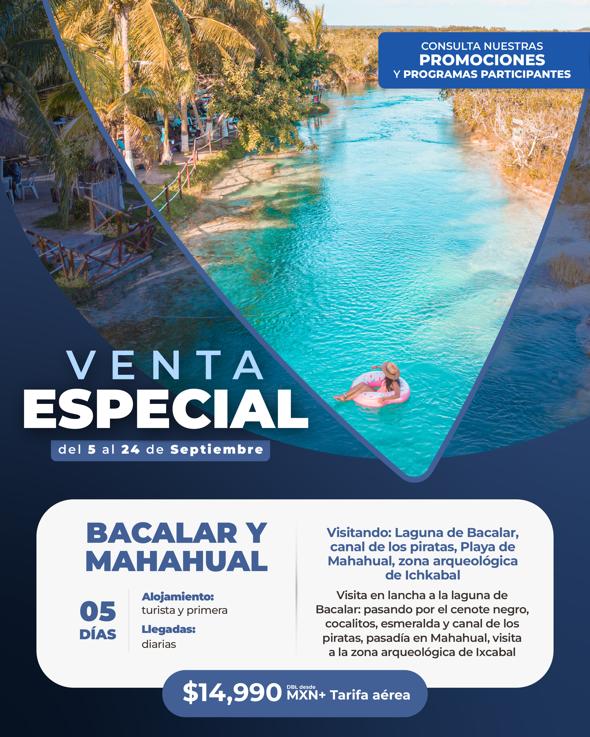 Descarga