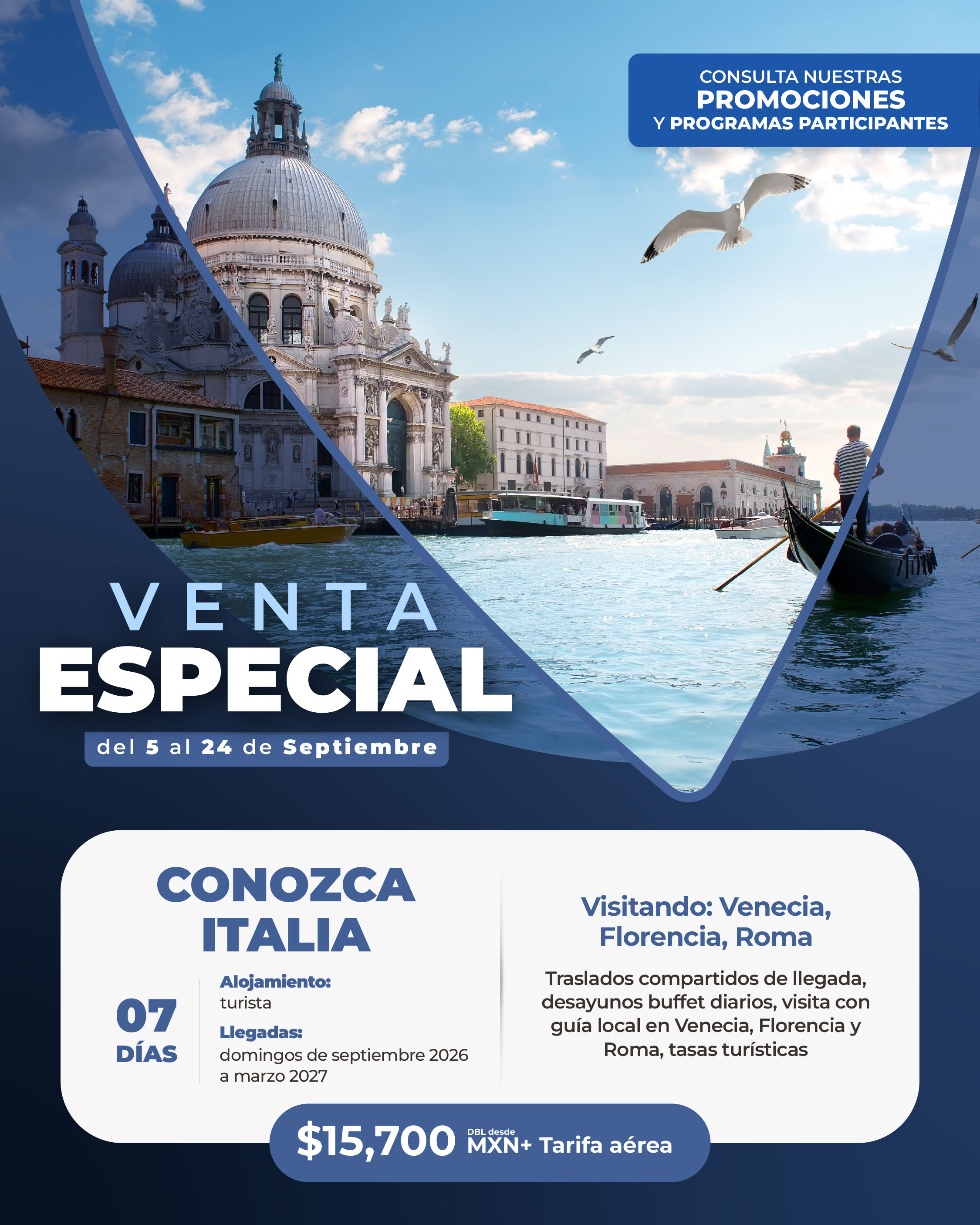 Descarga