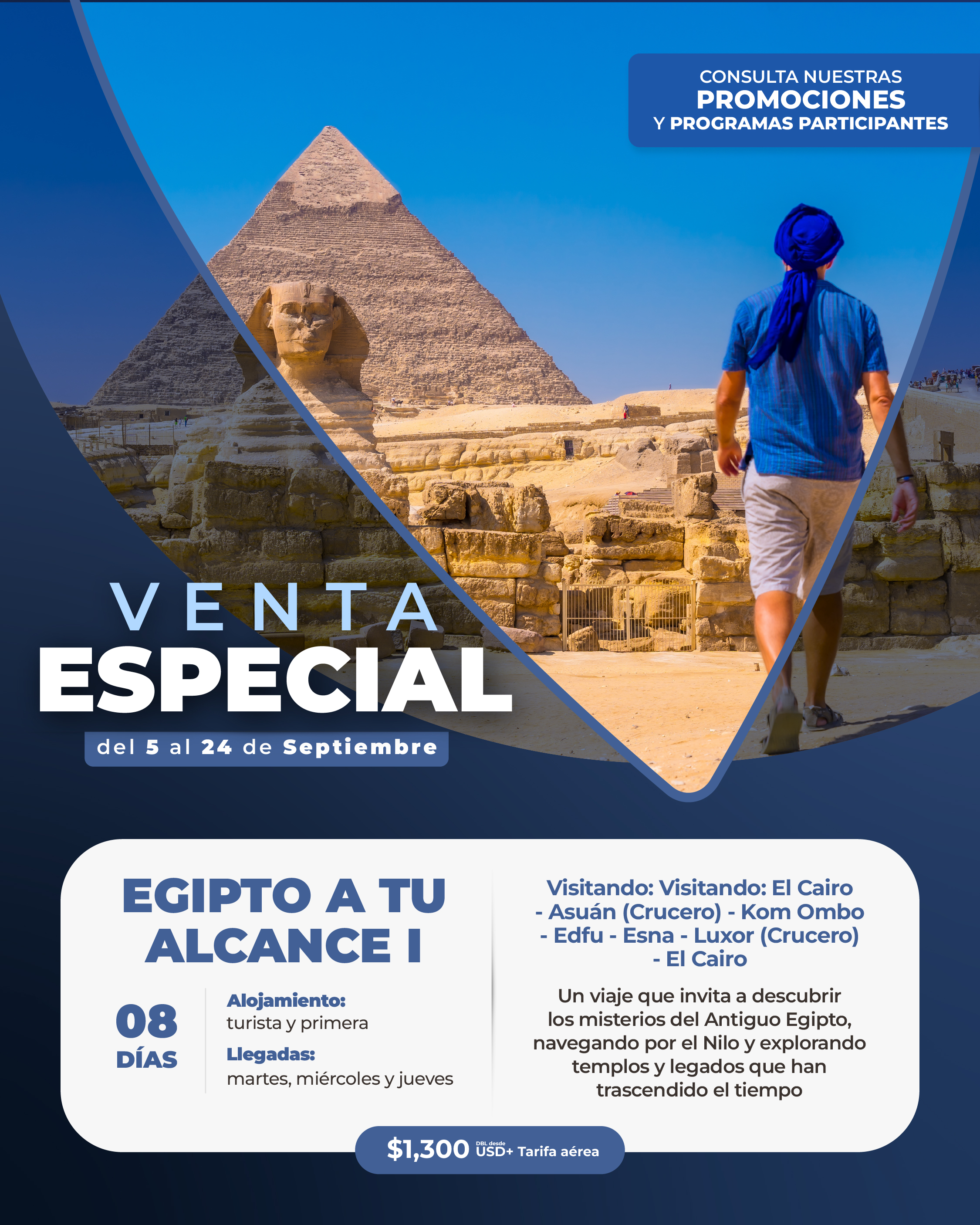 Descarga