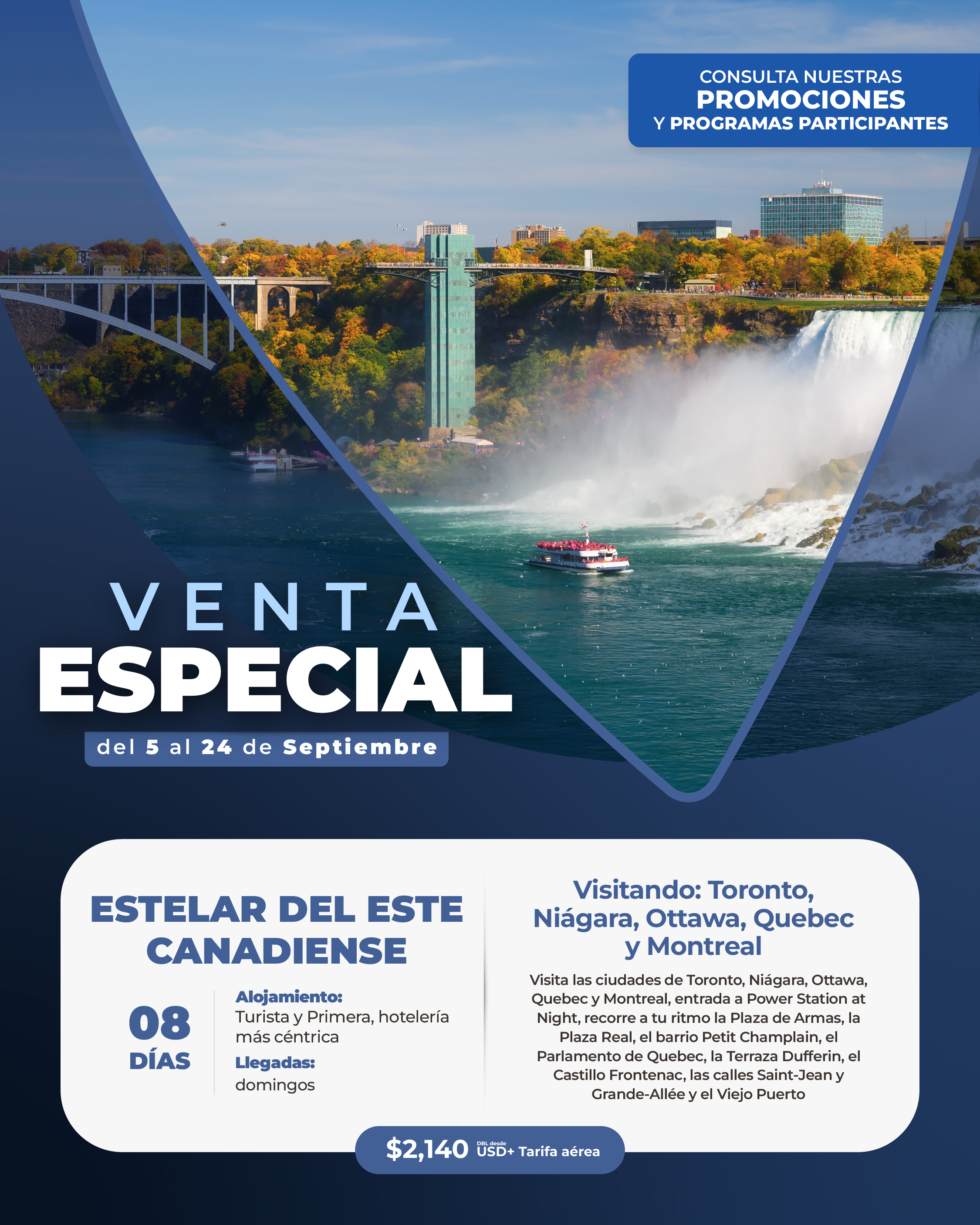 Descarga