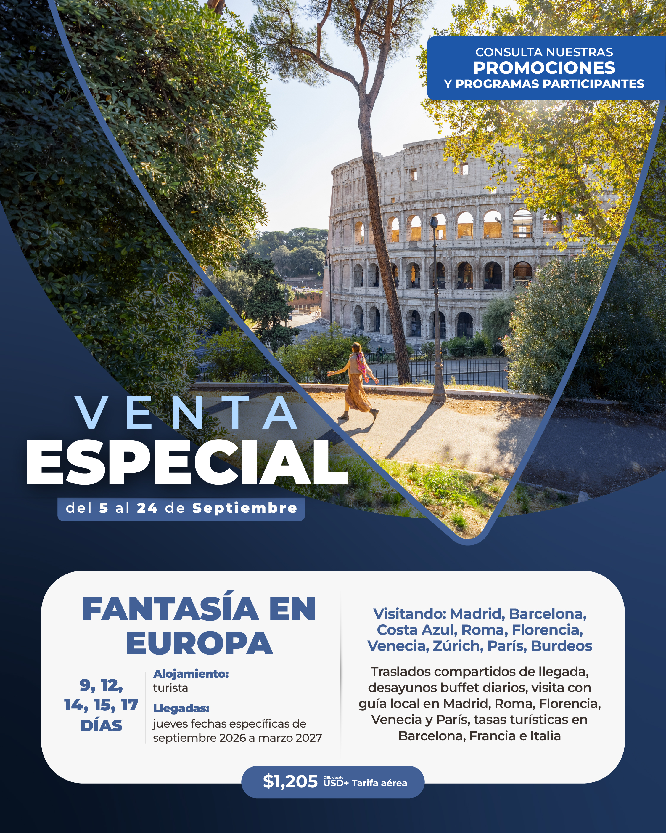Descarga