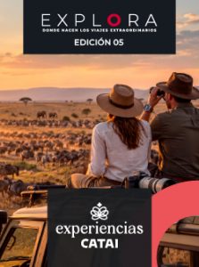 Descarga