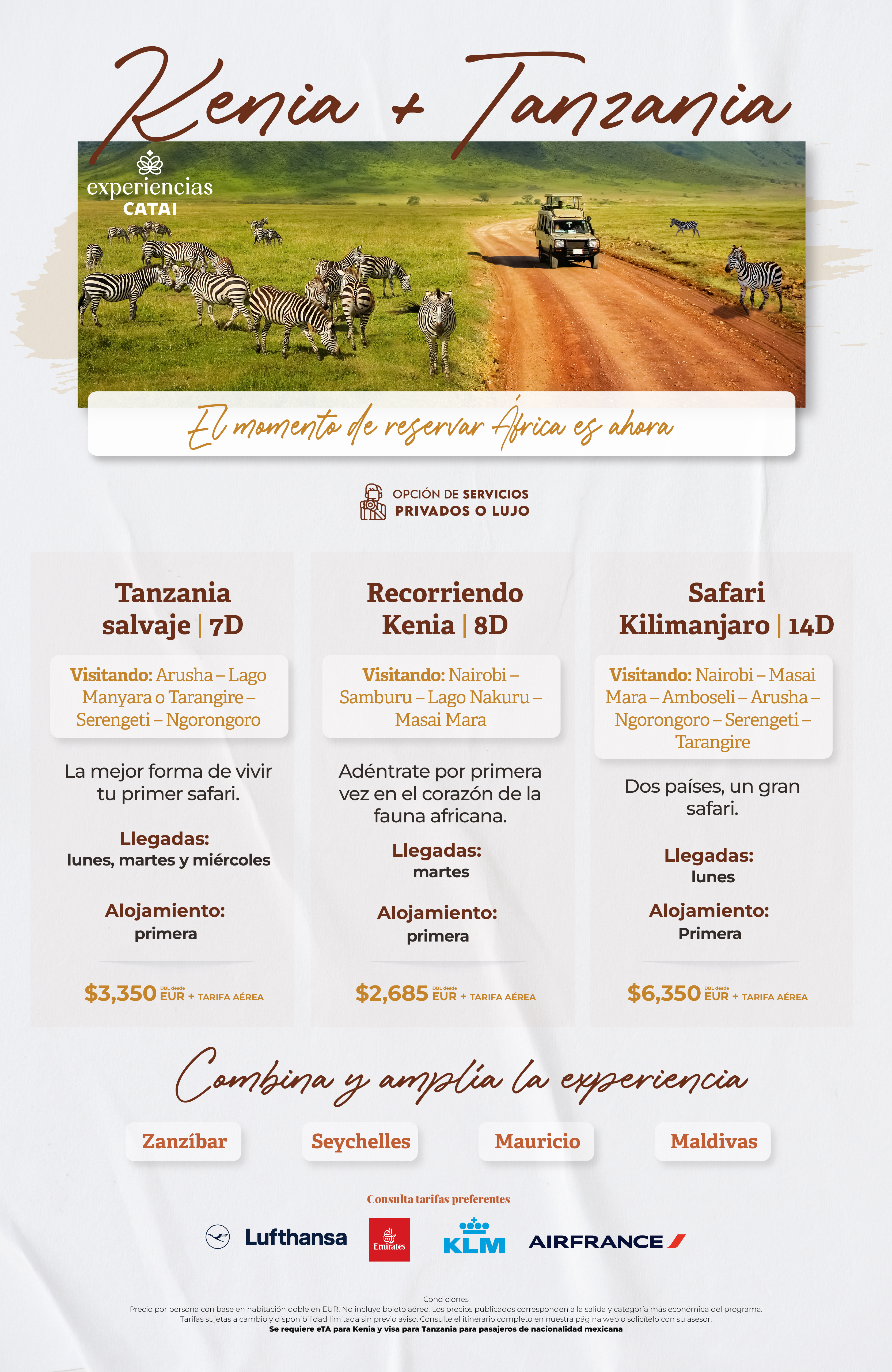 Descarga